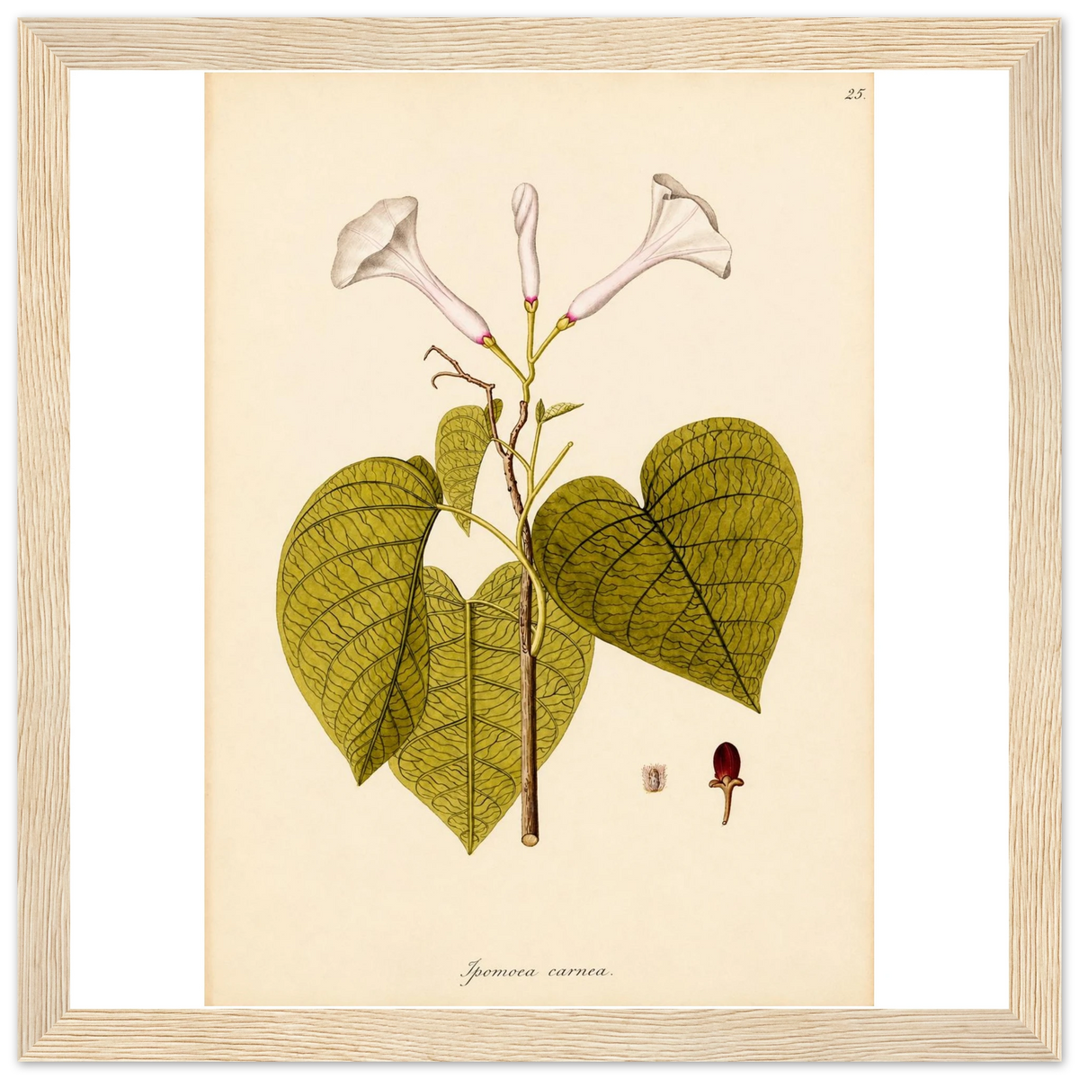 d3149087-1c7e-4d25-a90c-02c8b728d77d