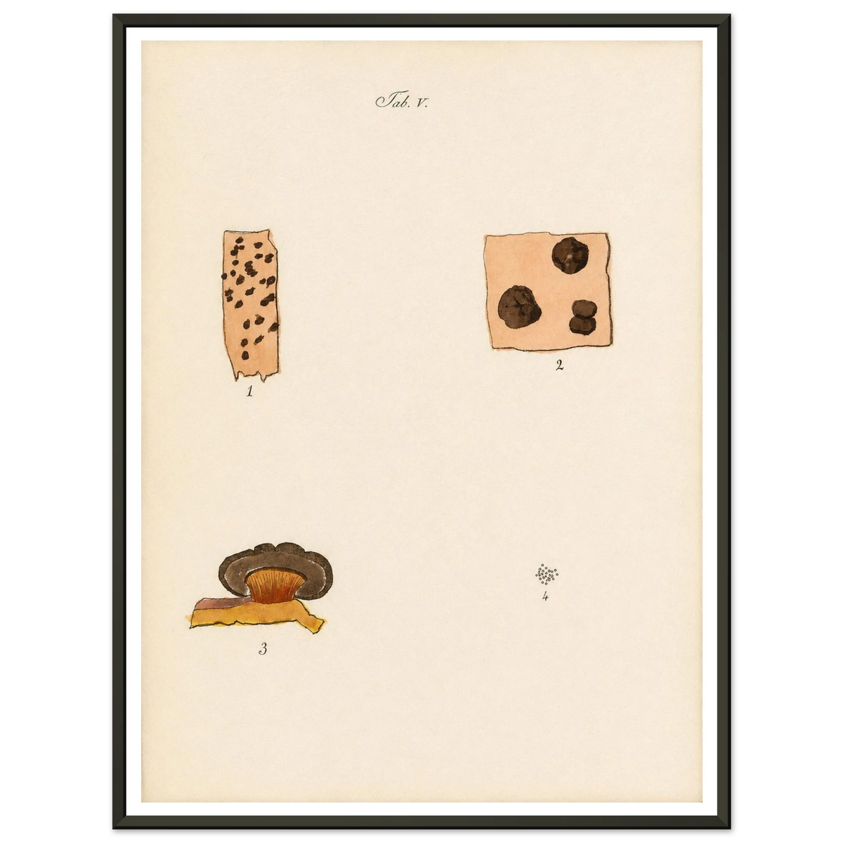 d33d2c27-ac4d-4ff9-a276-760285fa827b