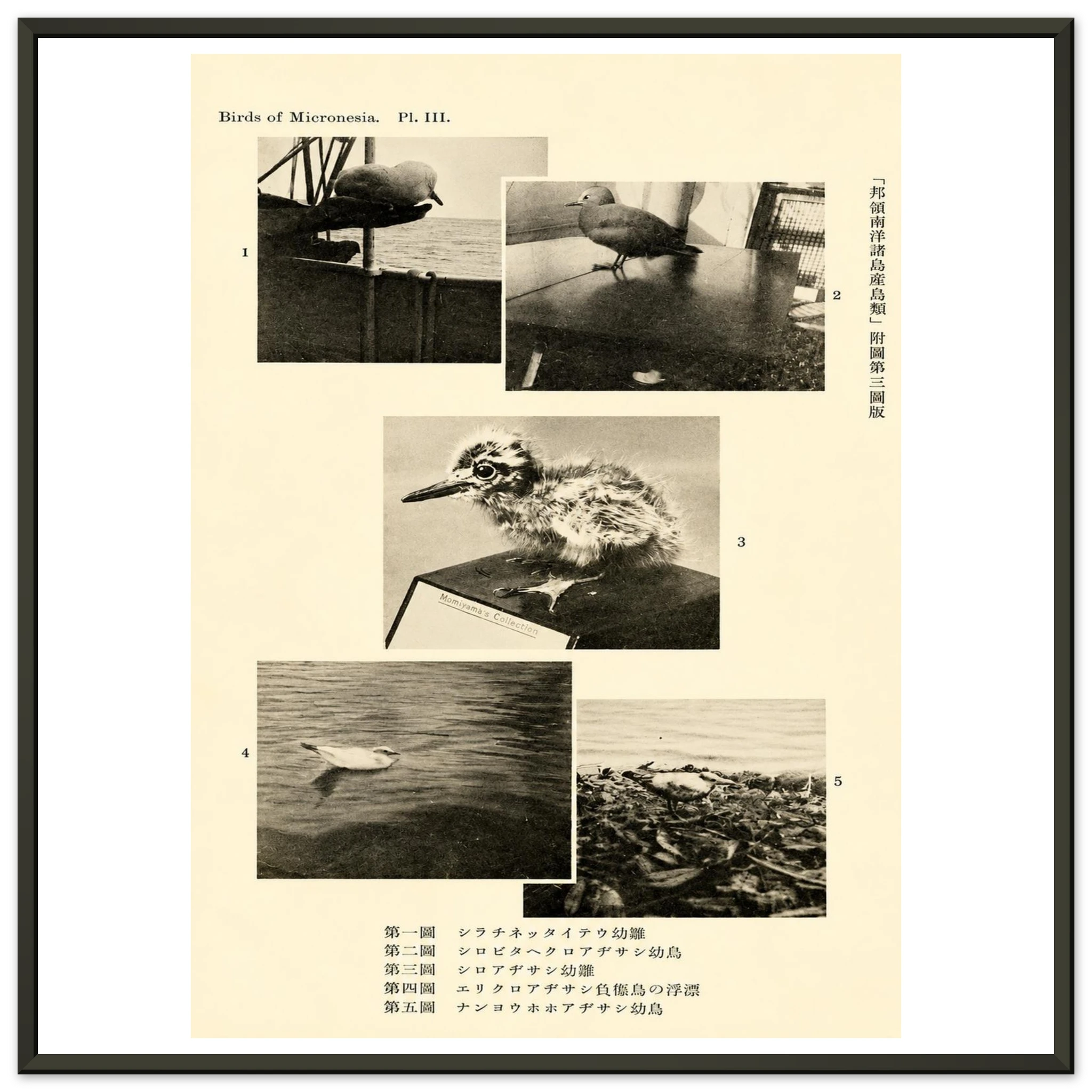 d3621424-1cb2-48c0-aa0a-1161310228a4