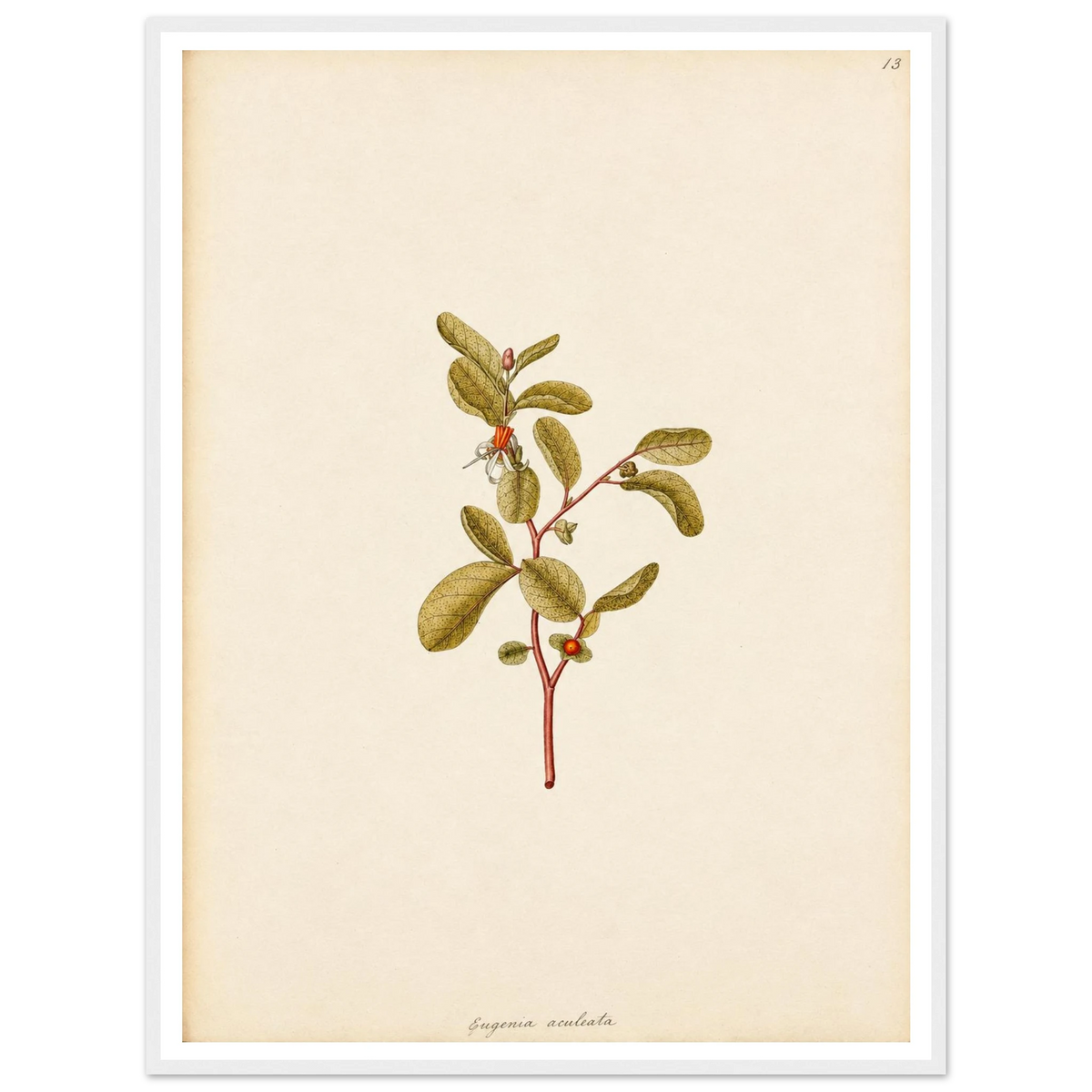 d3667ebf-c5df-48c5-a934-a907ea589777