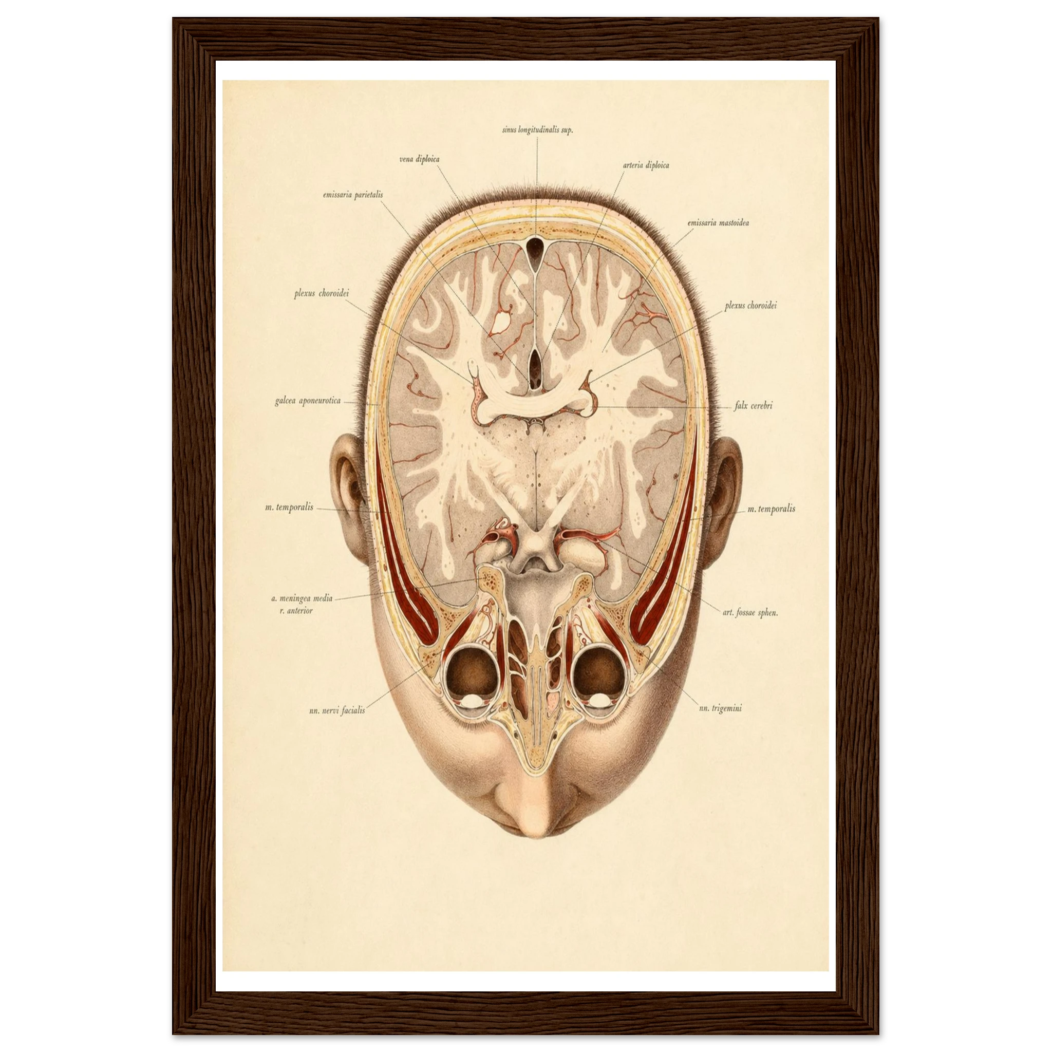 d3ab49f8-4016-45cb-abfe-3c7b90e73fb5