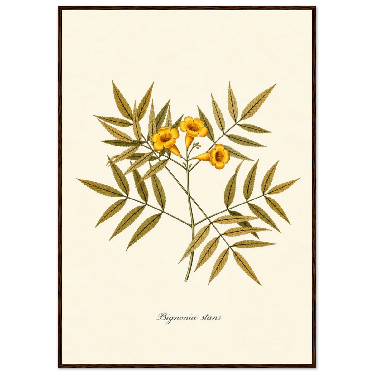 d4396f49-e212-47bf-8b4a-5dd6bb7f3304
