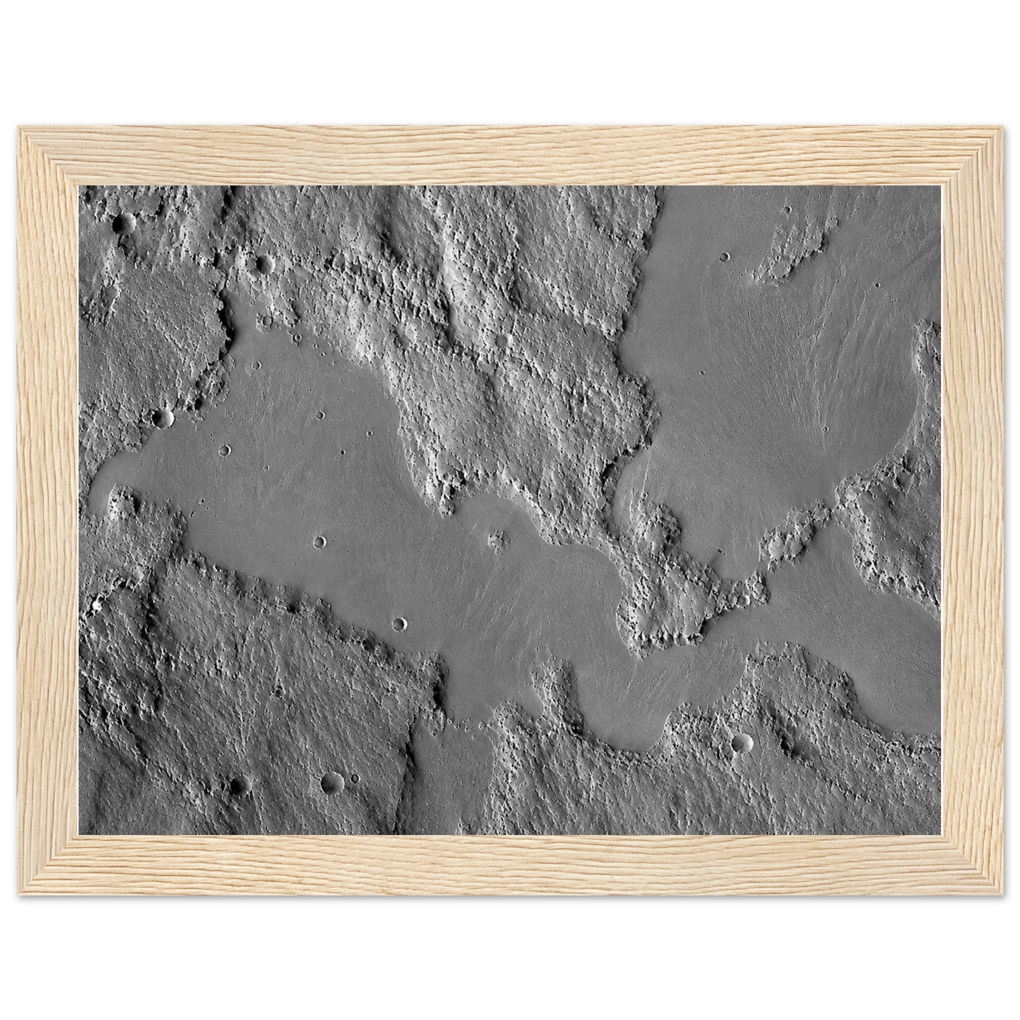 d4b07e95-94c5-444b-a5be-8c0e59ca8478