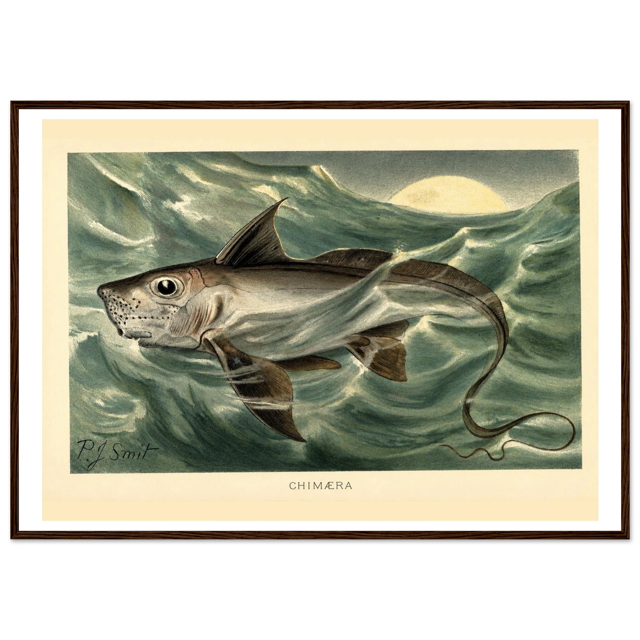 d5039e91-0fe5-49bb-9637-dfe2dfbf15a4