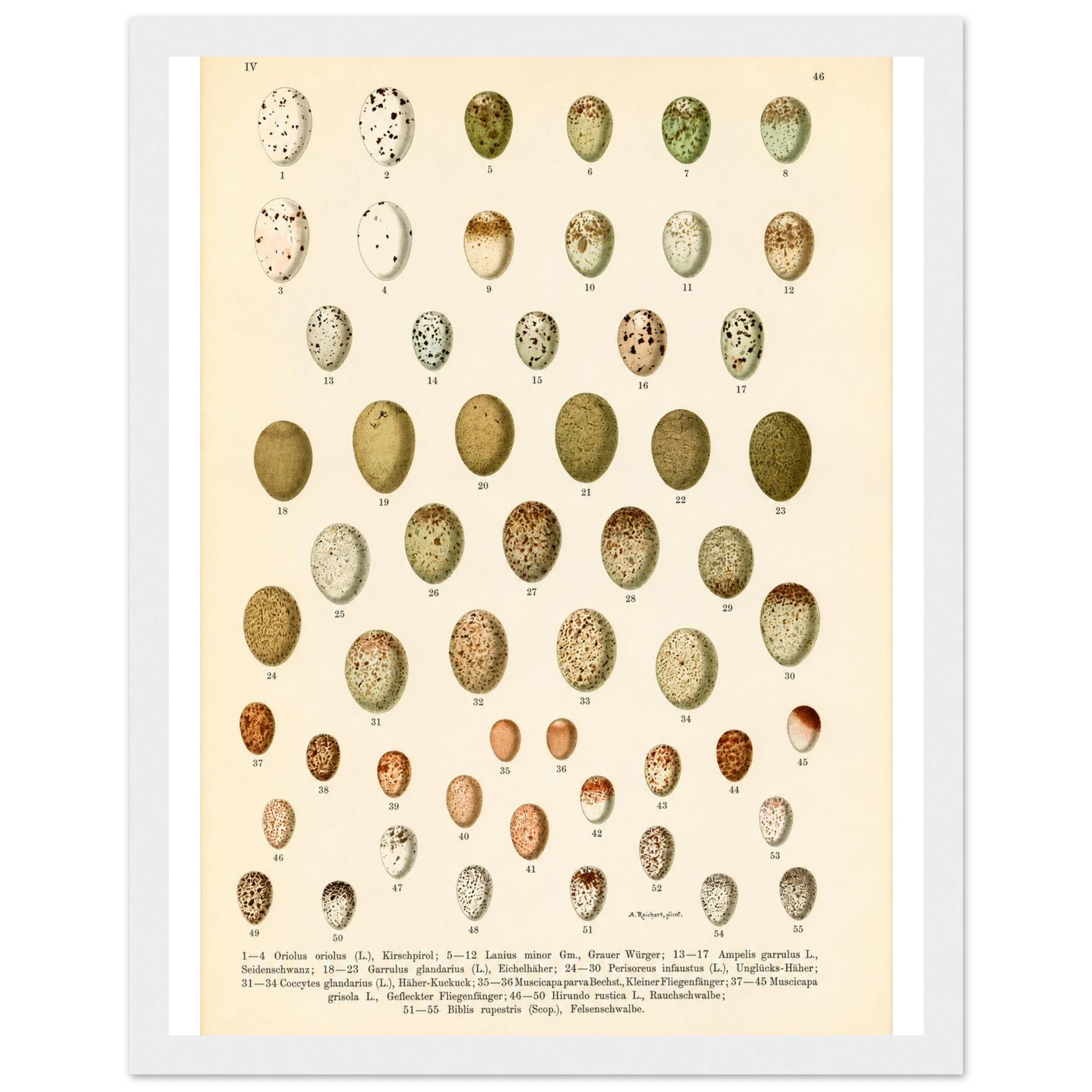 d508cac5-70b7-4efc-a3c7-c0b50f3b5f01