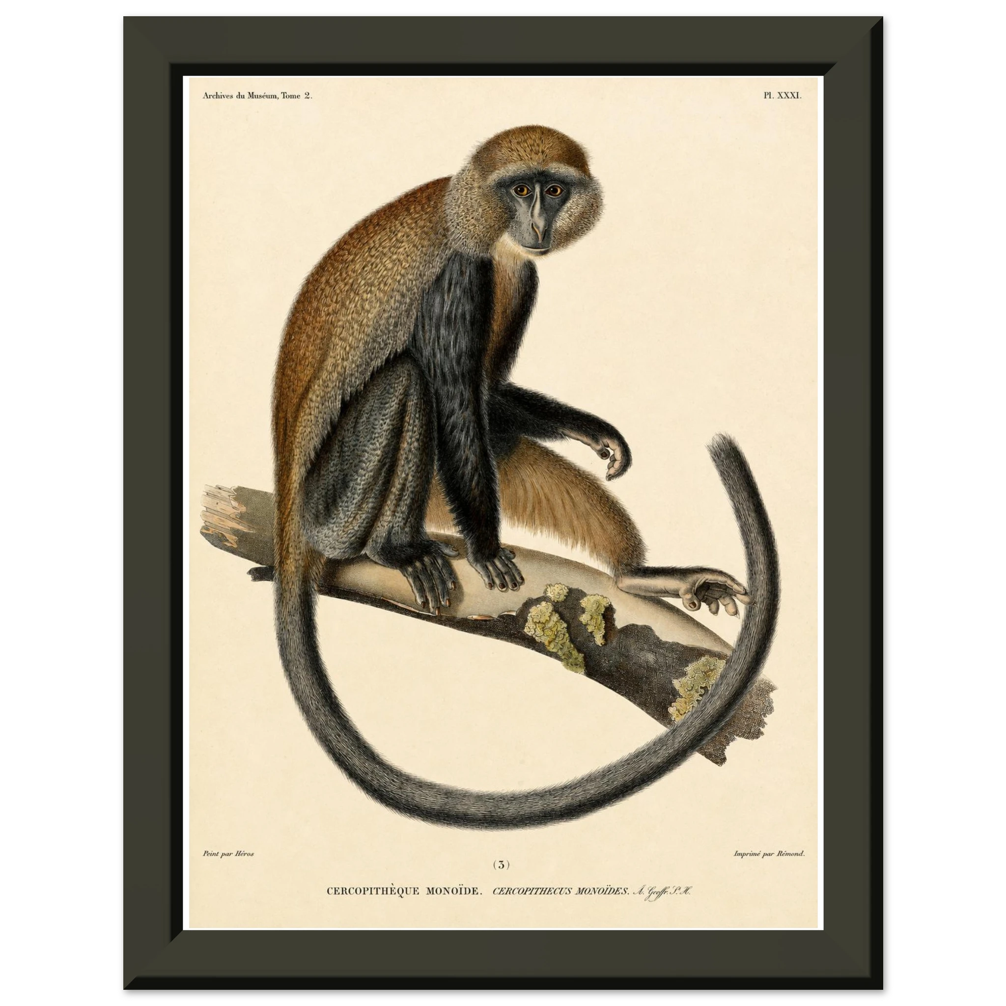d54178bc-0c5f-4136-8509-ab49350e667a