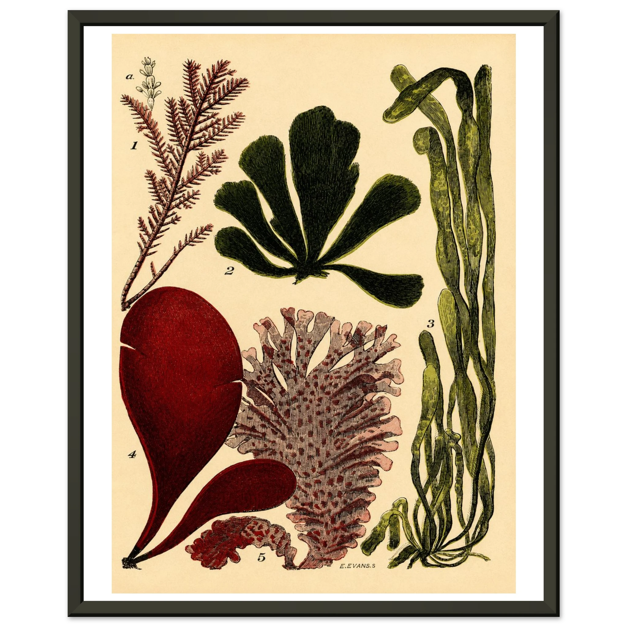 d545f2b1-acfd-4d65-92a5-701ecbff493b