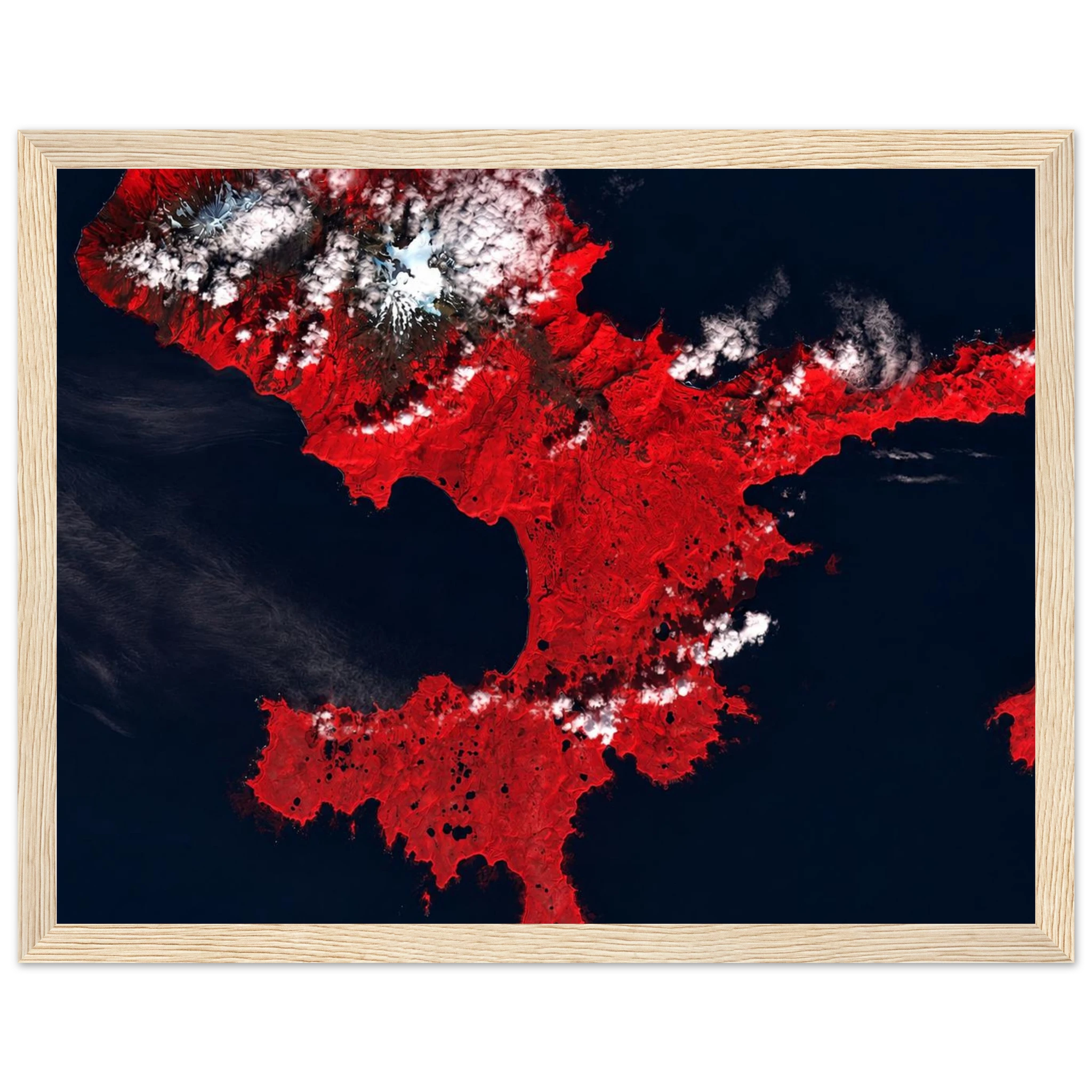 d57619fd-a9fe-4921-a67c-eed1fc17464a