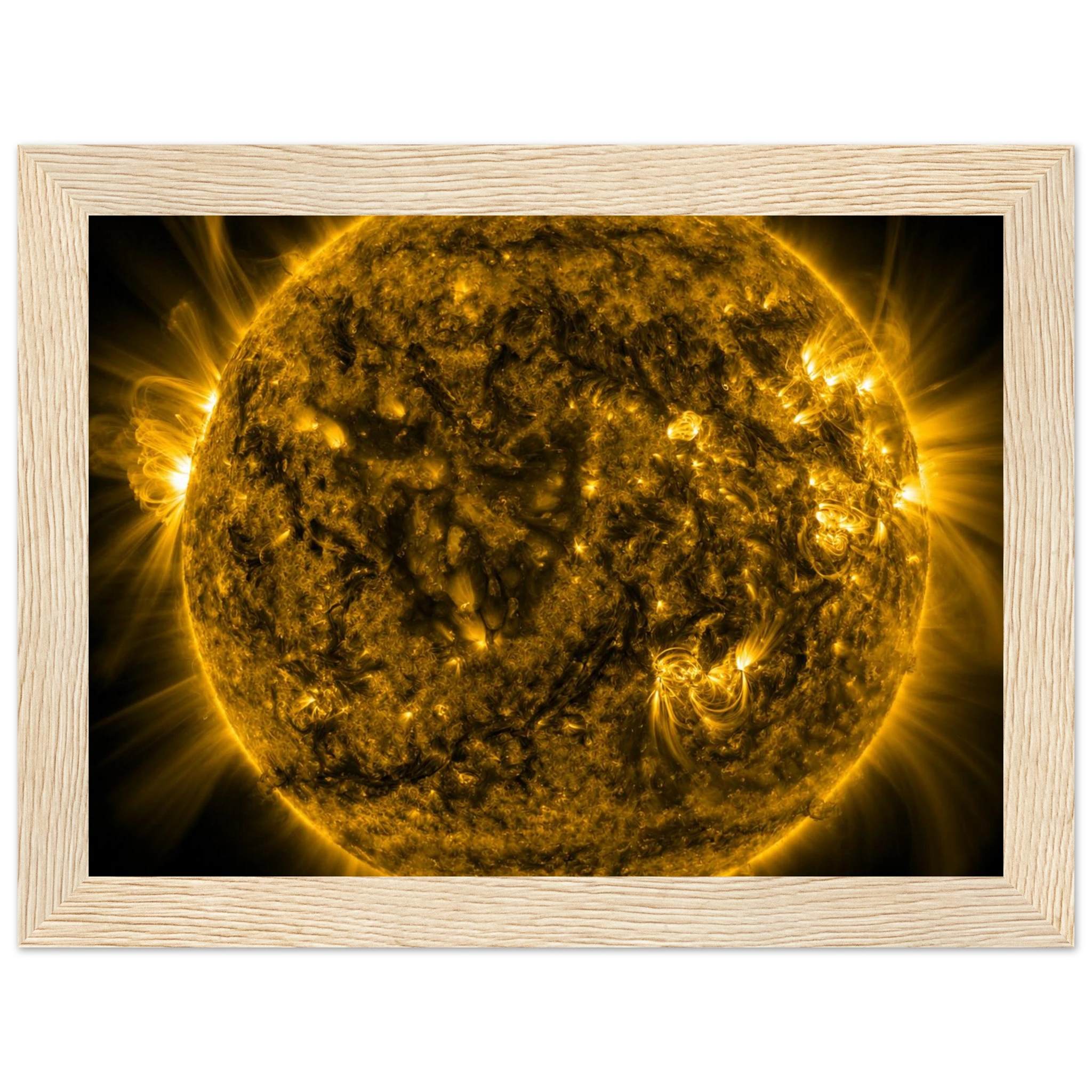 d5924926-4981-4aa4-b66d-53b5faaddd19