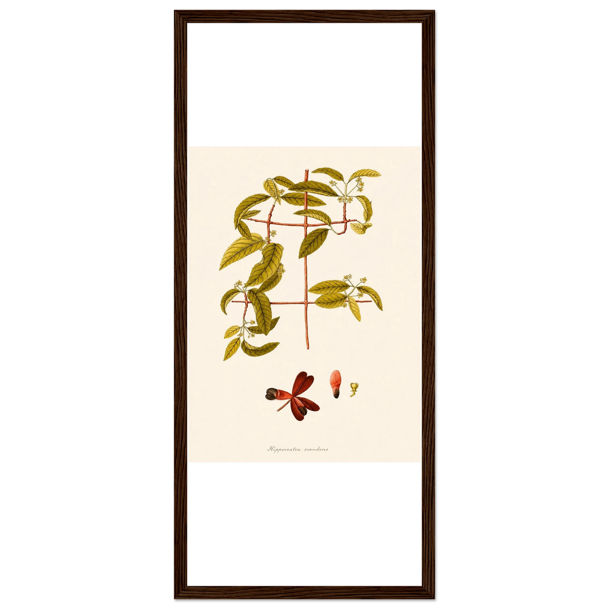 d69ab091-fa83-4c2d-a485-4e61be20108c