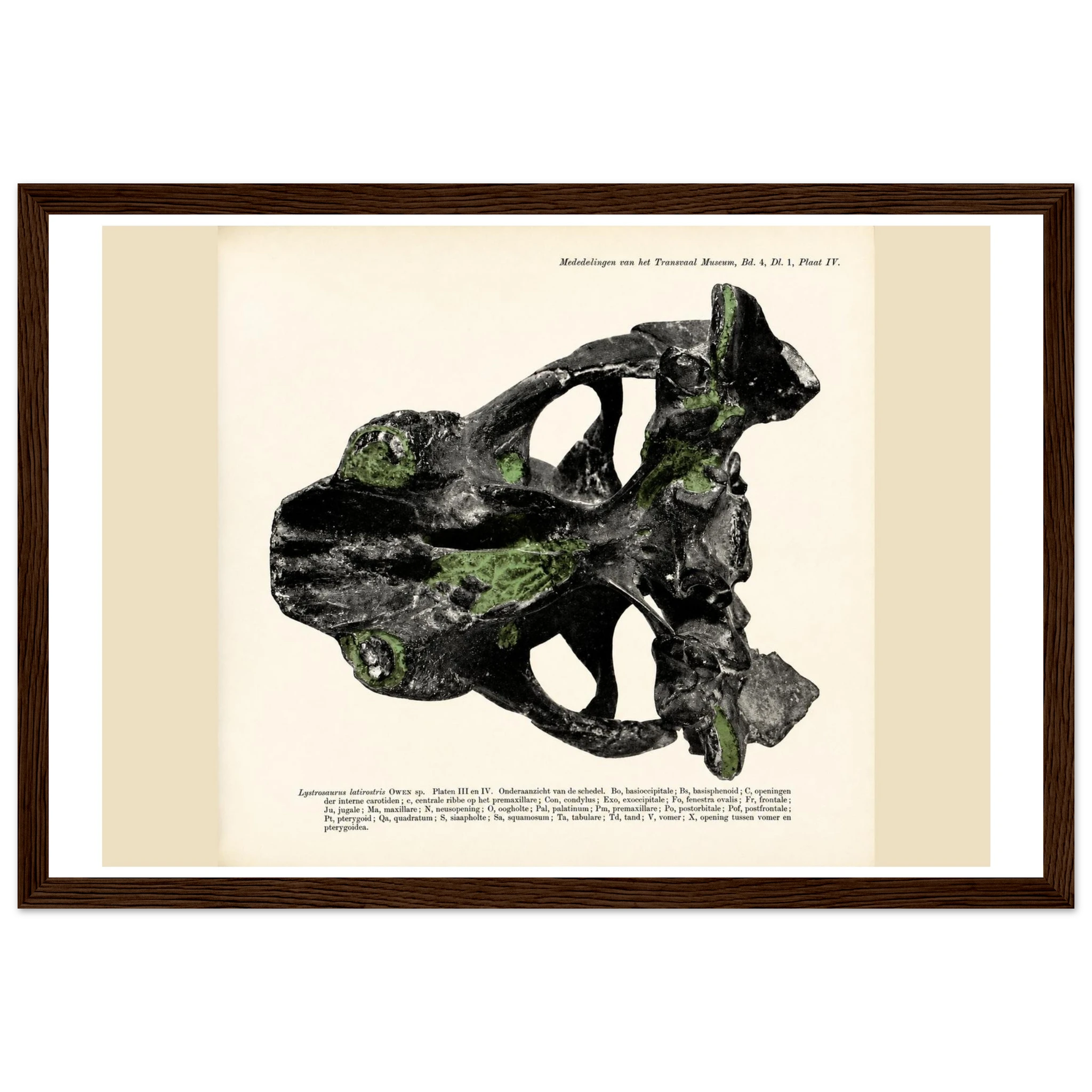 d6e1d0c9-dc23-4802-9fdb-60a180c95717