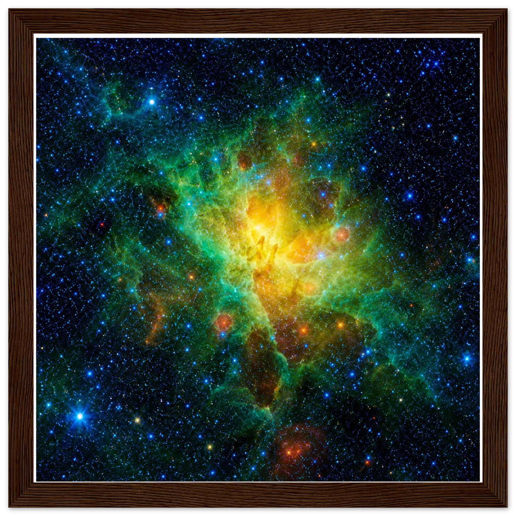 d71964ac-81d2-4fe7-9021-62d35c3953f8