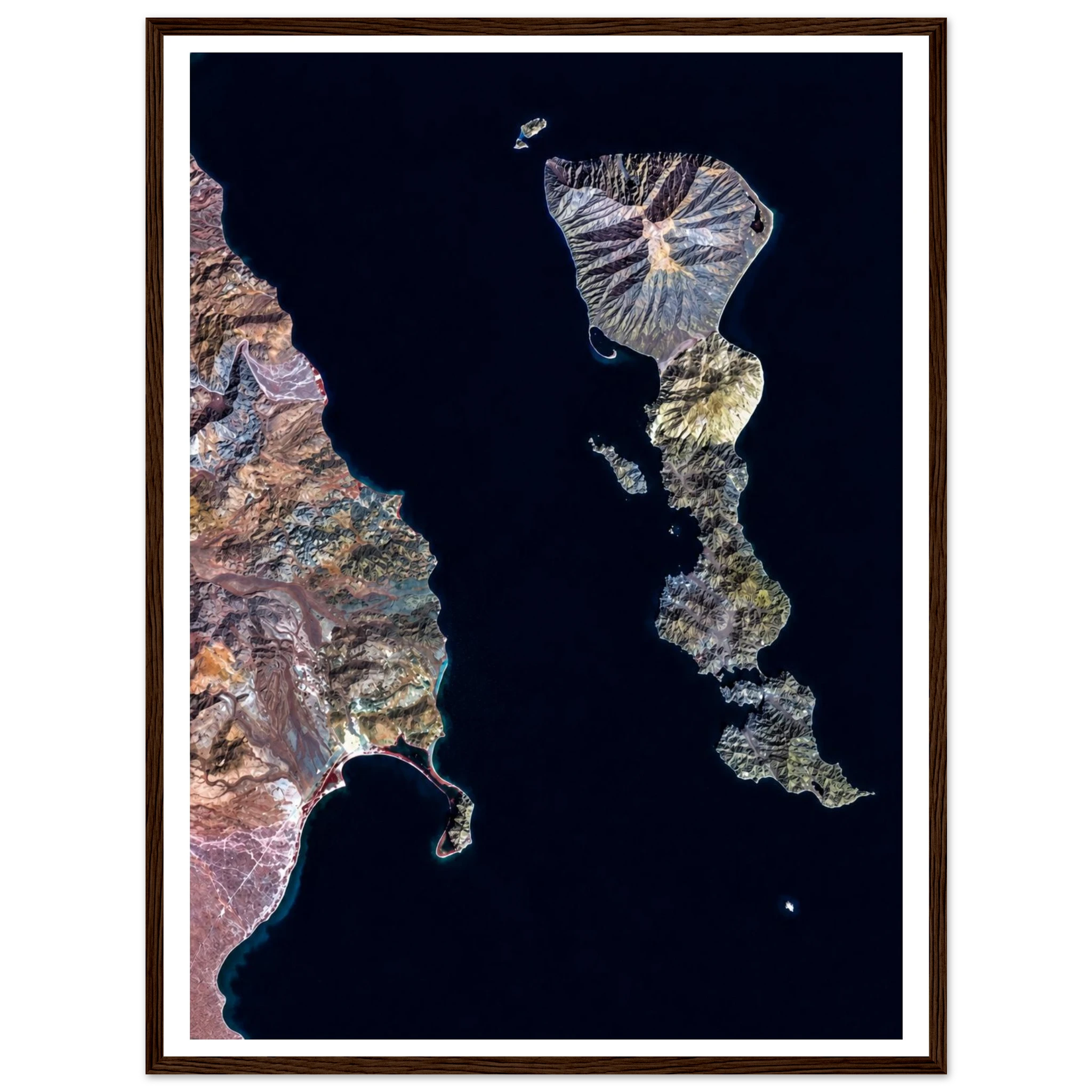 d7276324-de3f-40ea-8394-382123da7812
