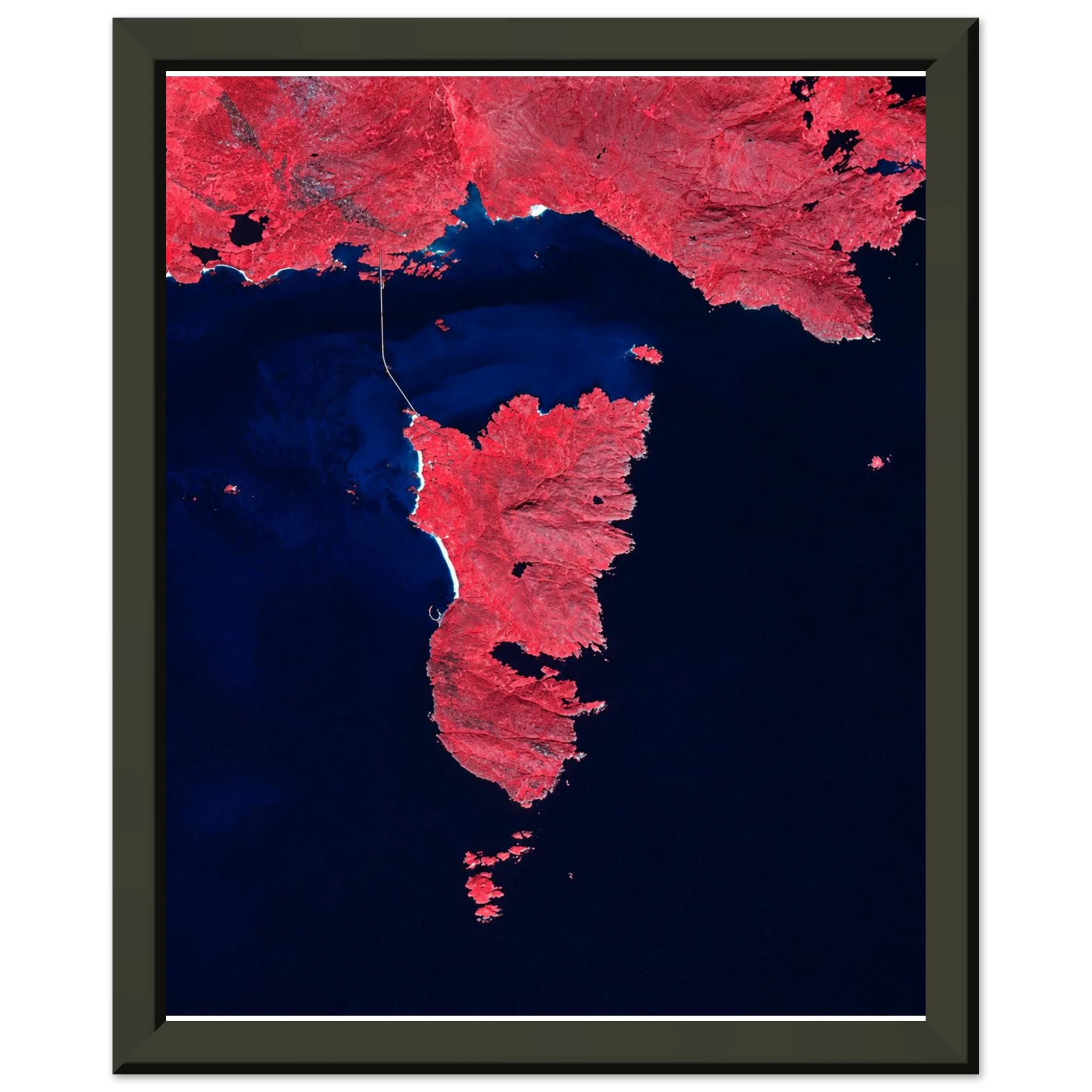 d7639bd1-5682-469e-9750-770f1aa84a60