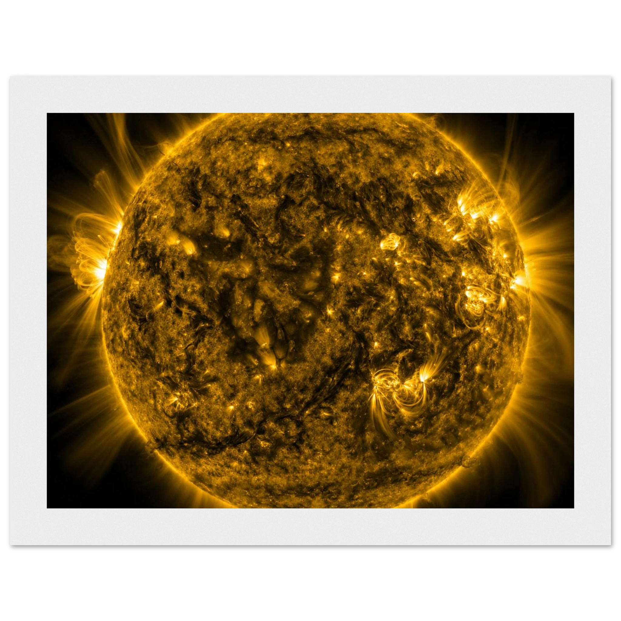 d7842b3f-a328-403a-854e-c1f201f2e8b4