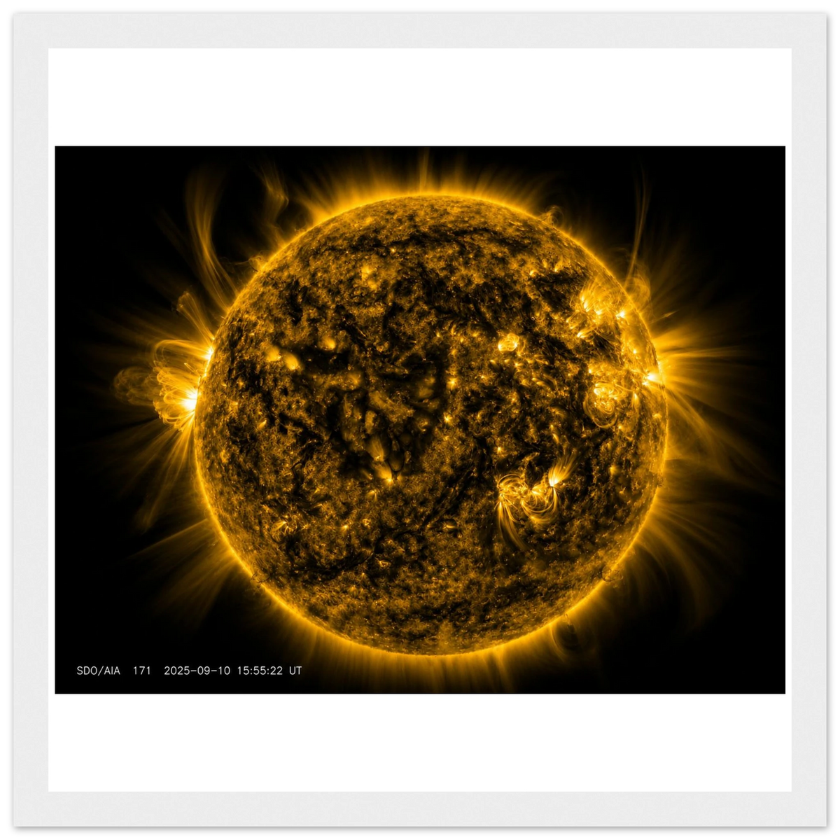 d8136f8a-7831-4661-a9c2-30980b60e608