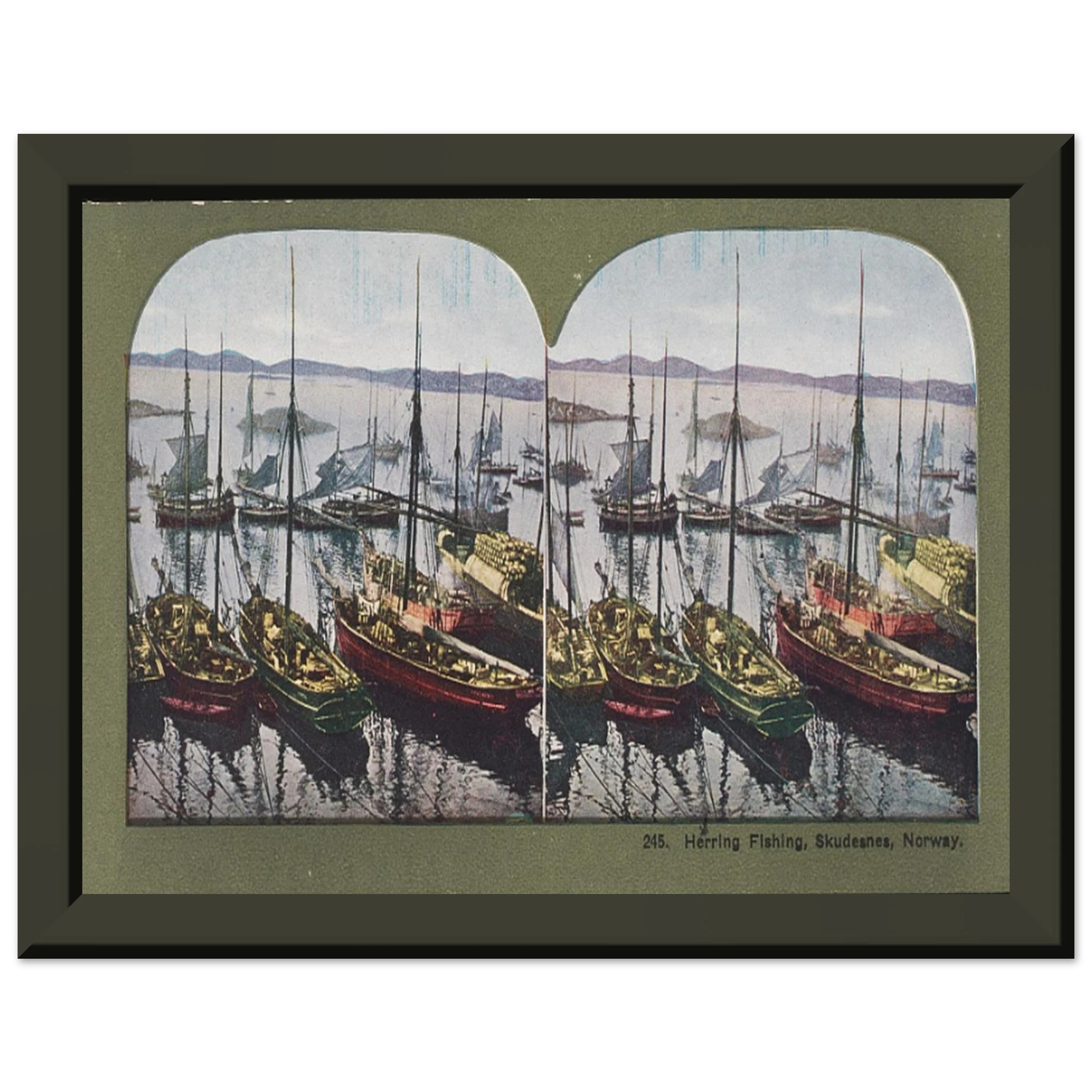 d83035e5-7a41-46ba-856c-3dece3d596f2