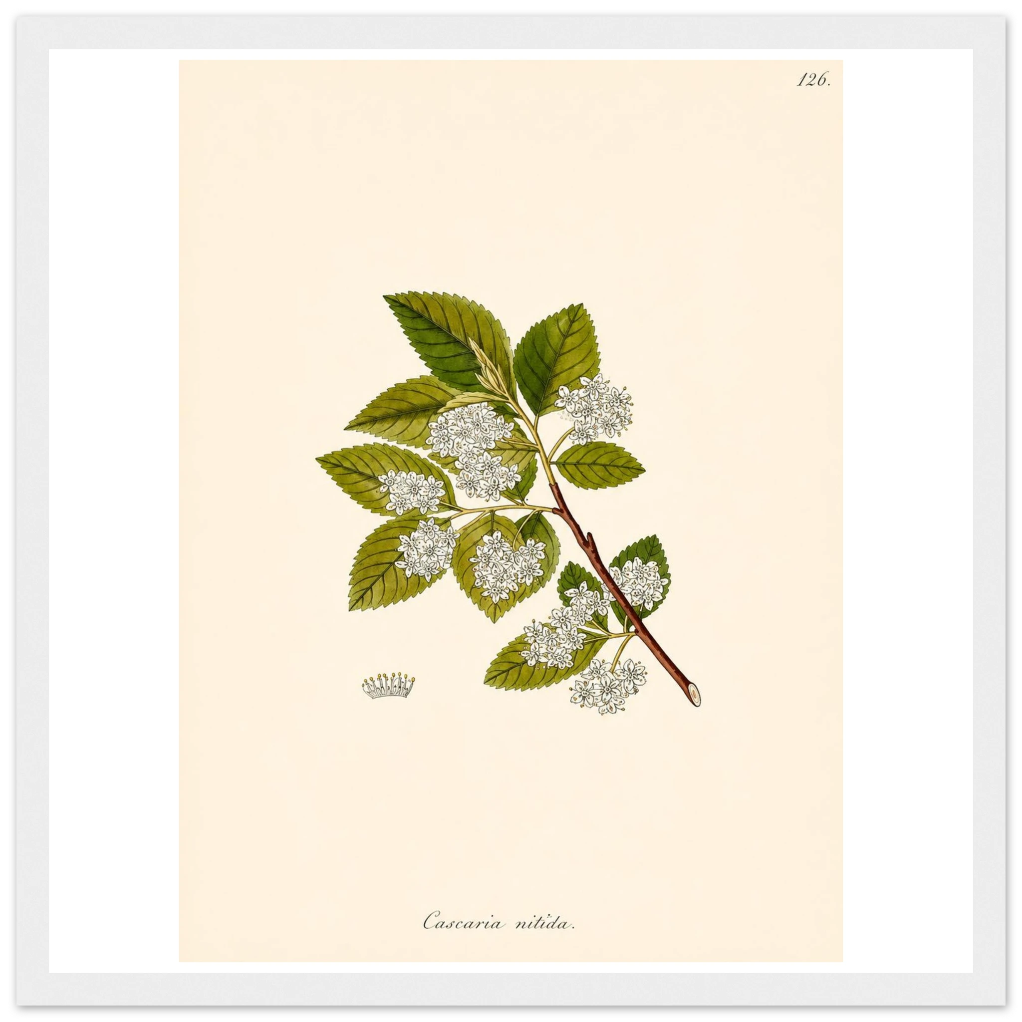 d878d5f6-fd4b-49a5-84a6-4545efb94b7b
