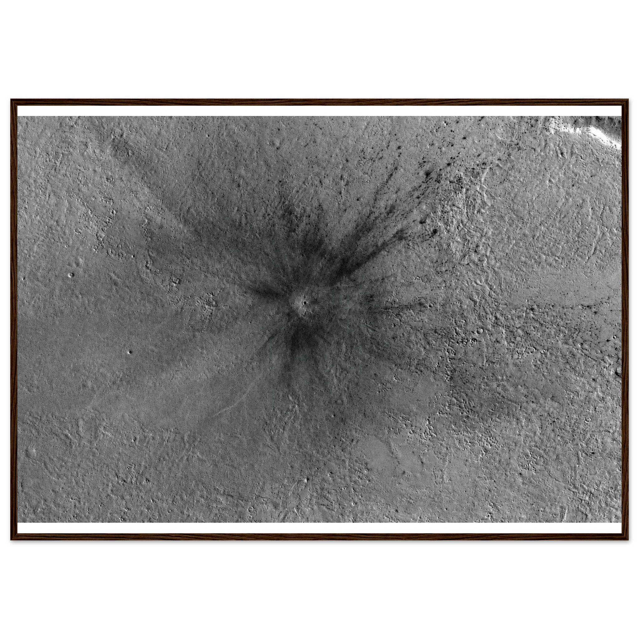d973ac15-cd27-400e-ab76-eb7792b682b4