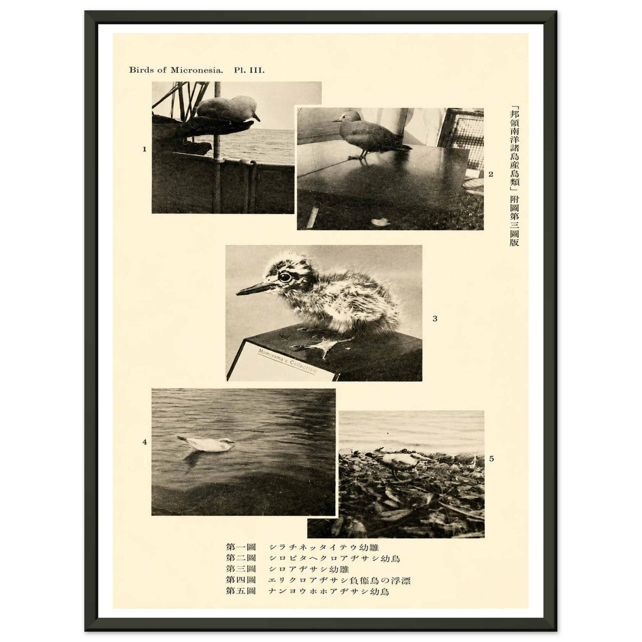 d986611d-794c-46f1-8f7f-dec81edc7de8