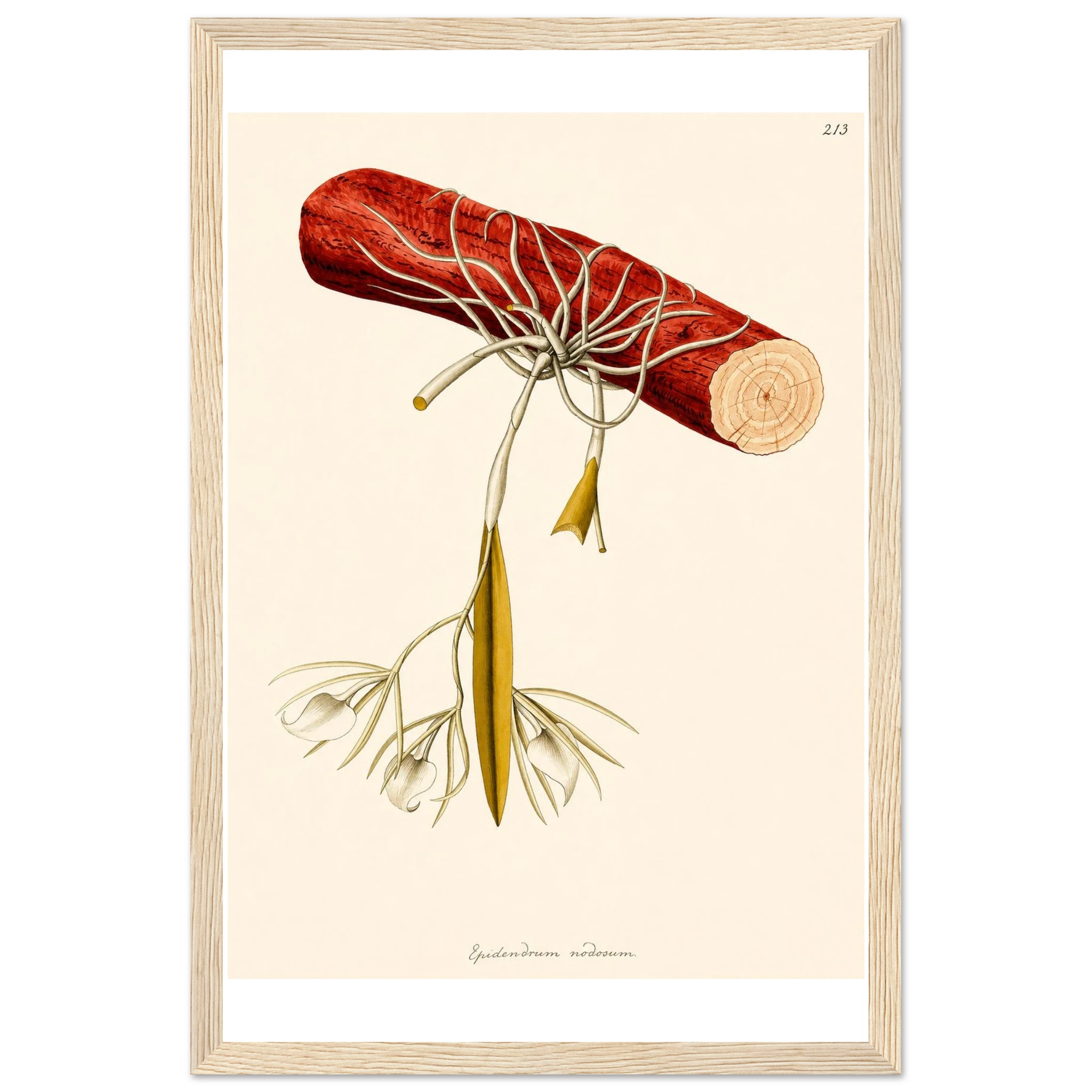 d9f7c5e2-f419-43cd-8135-7fb3a2abda1f