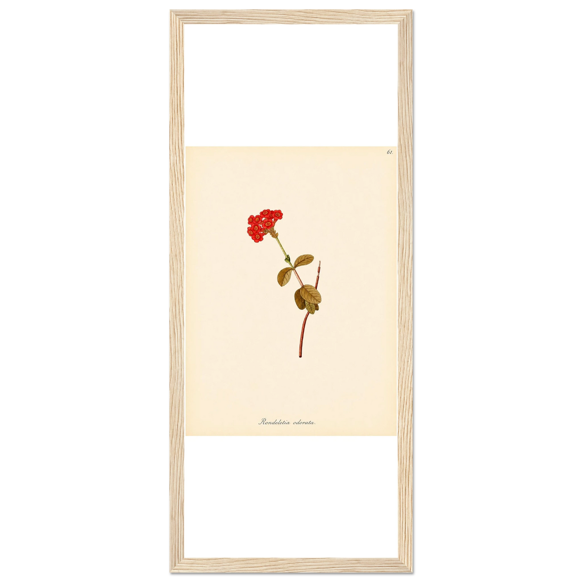 dab17614-b573-419f-8674-59a0bfa20794