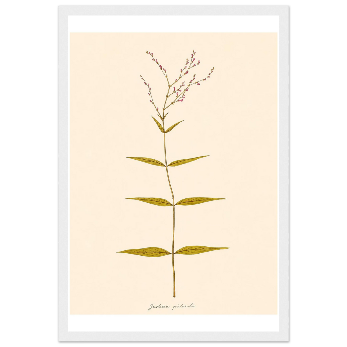 db57b463-24bc-40ad-a290-5ed89c132a3c