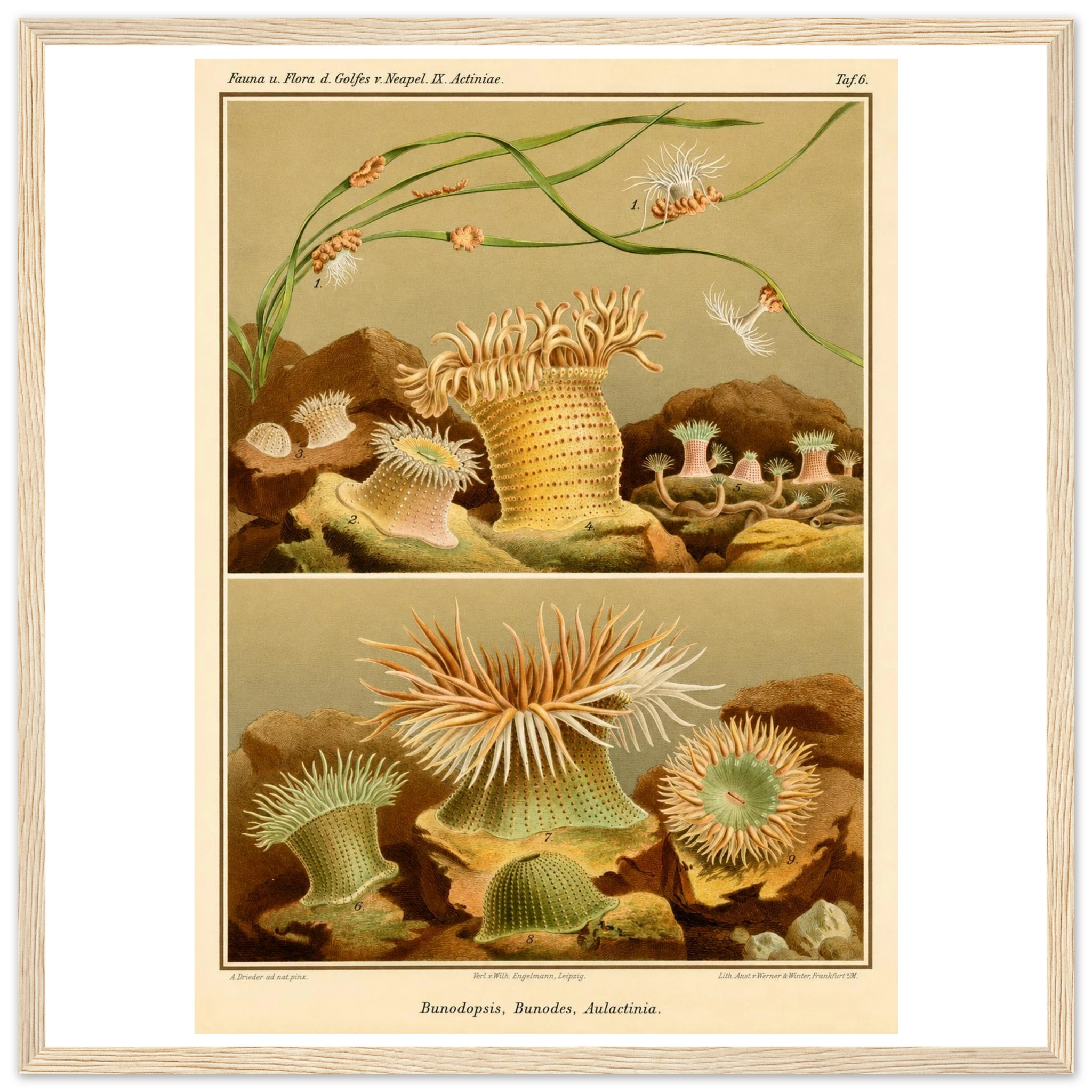 db8c2f99-7439-437f-a6ad-a7d8ce9fc460