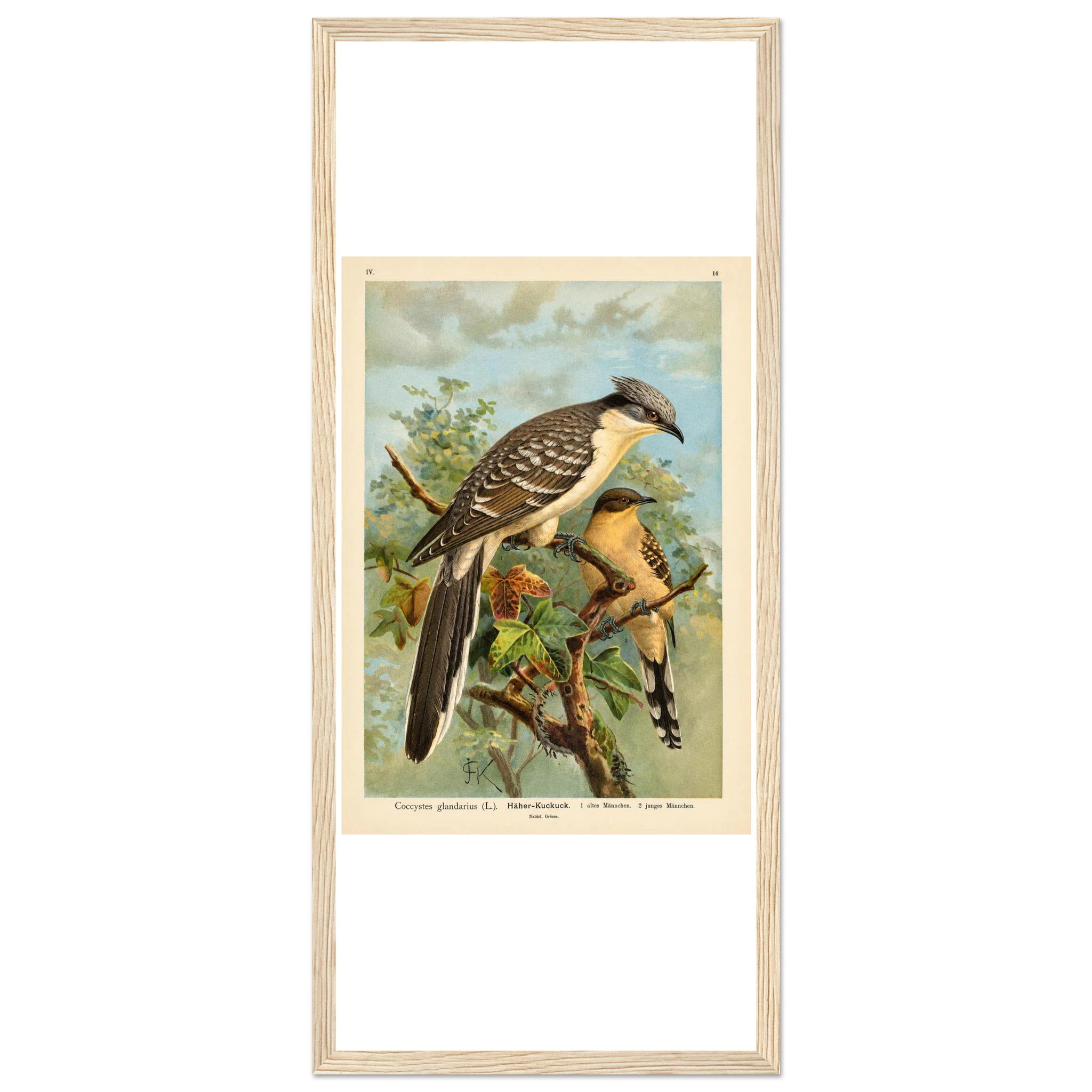 db8dbf4a-9c59-4bc8-a8f0-6855b662249e