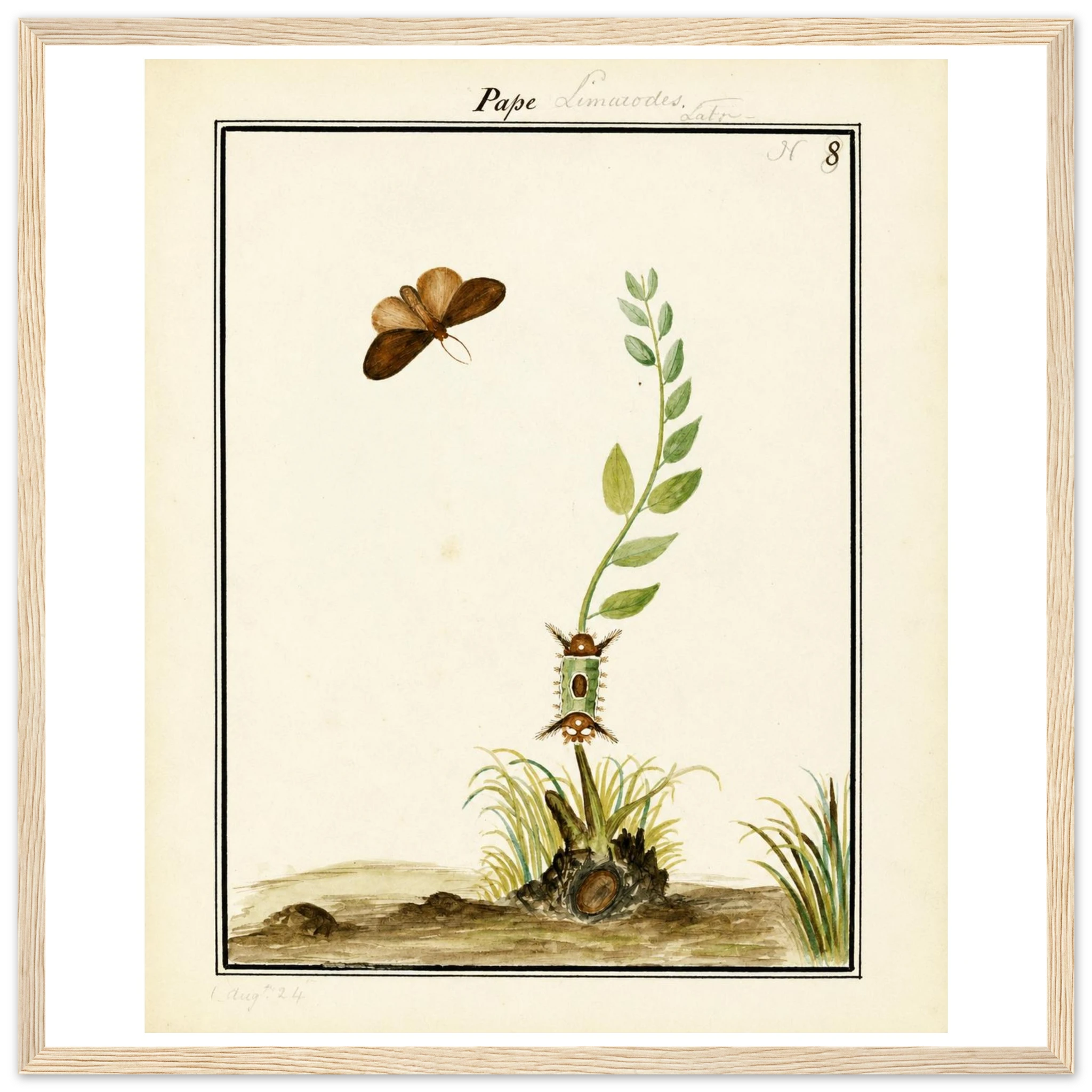 dbe915dc-cc38-4325-b691-29f00e465023