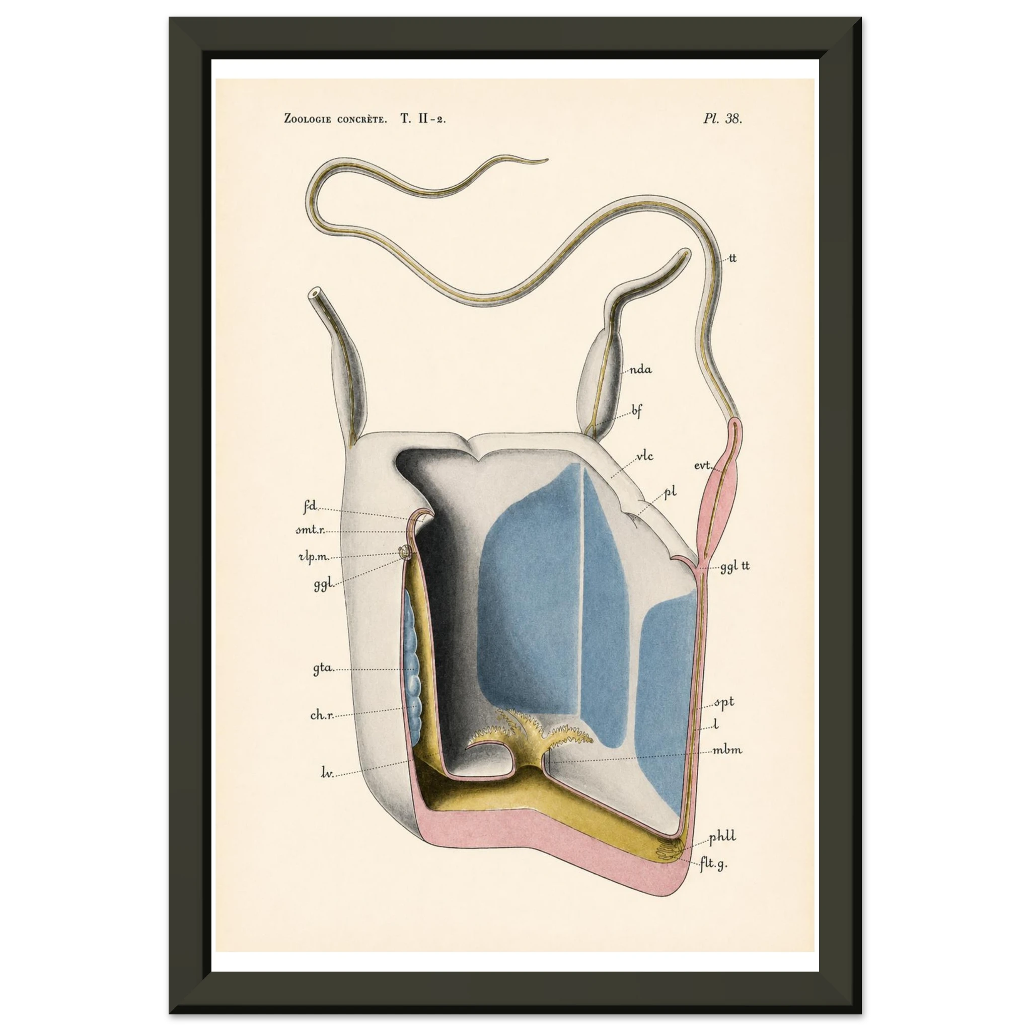dc9cb40e-e62c-4ca0-ab66-0db22e02f0e5
