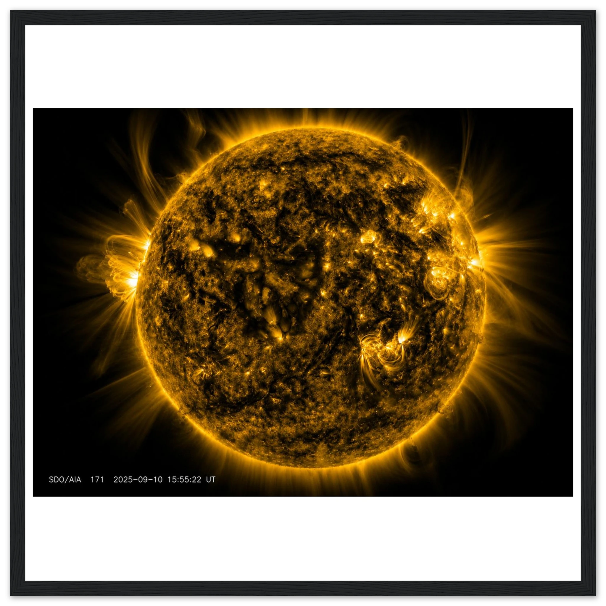 dcc0be95-0385-4866-8a33-ffe35cf64e00