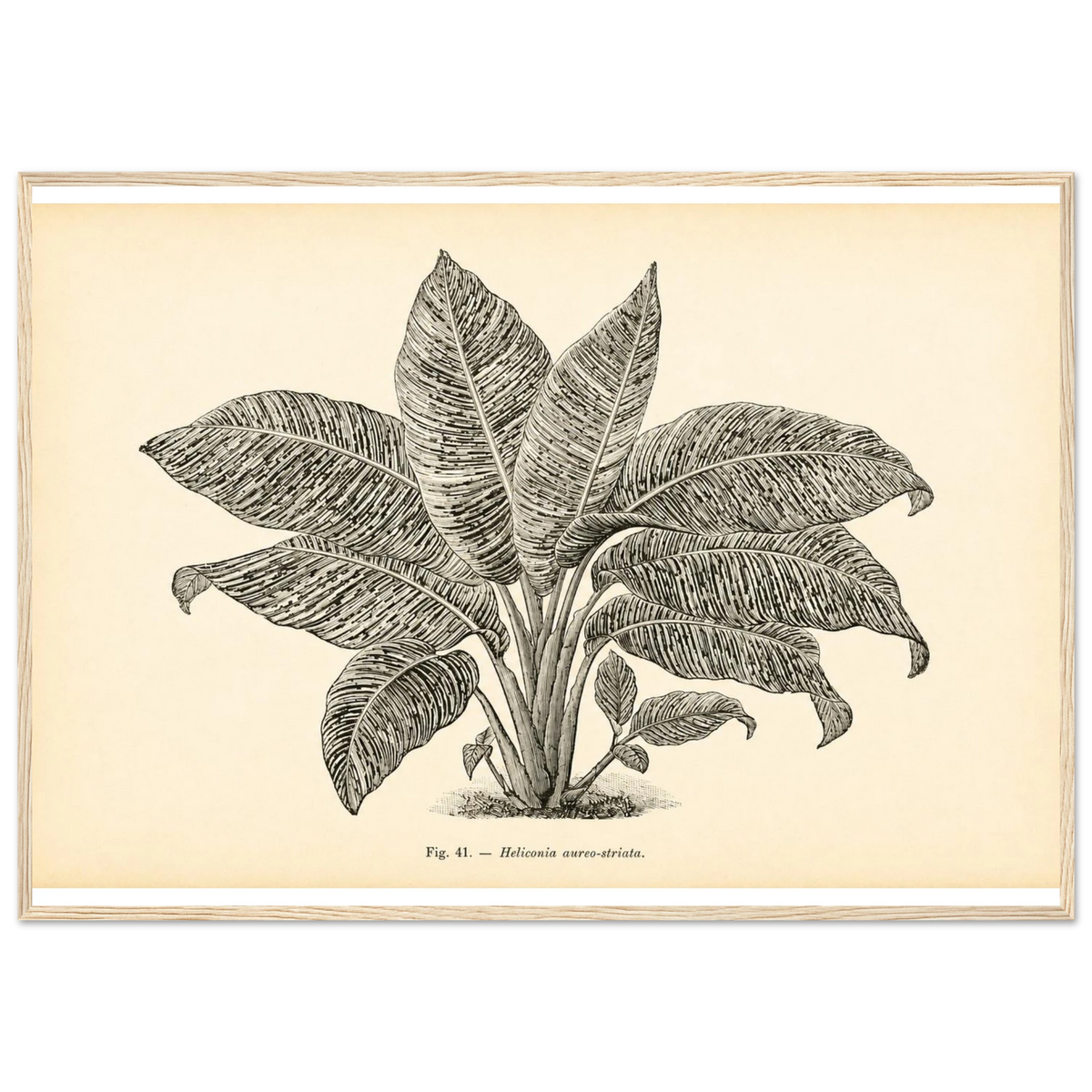 df5c67d8-3c5e-4d01-aac6-5887a840947a