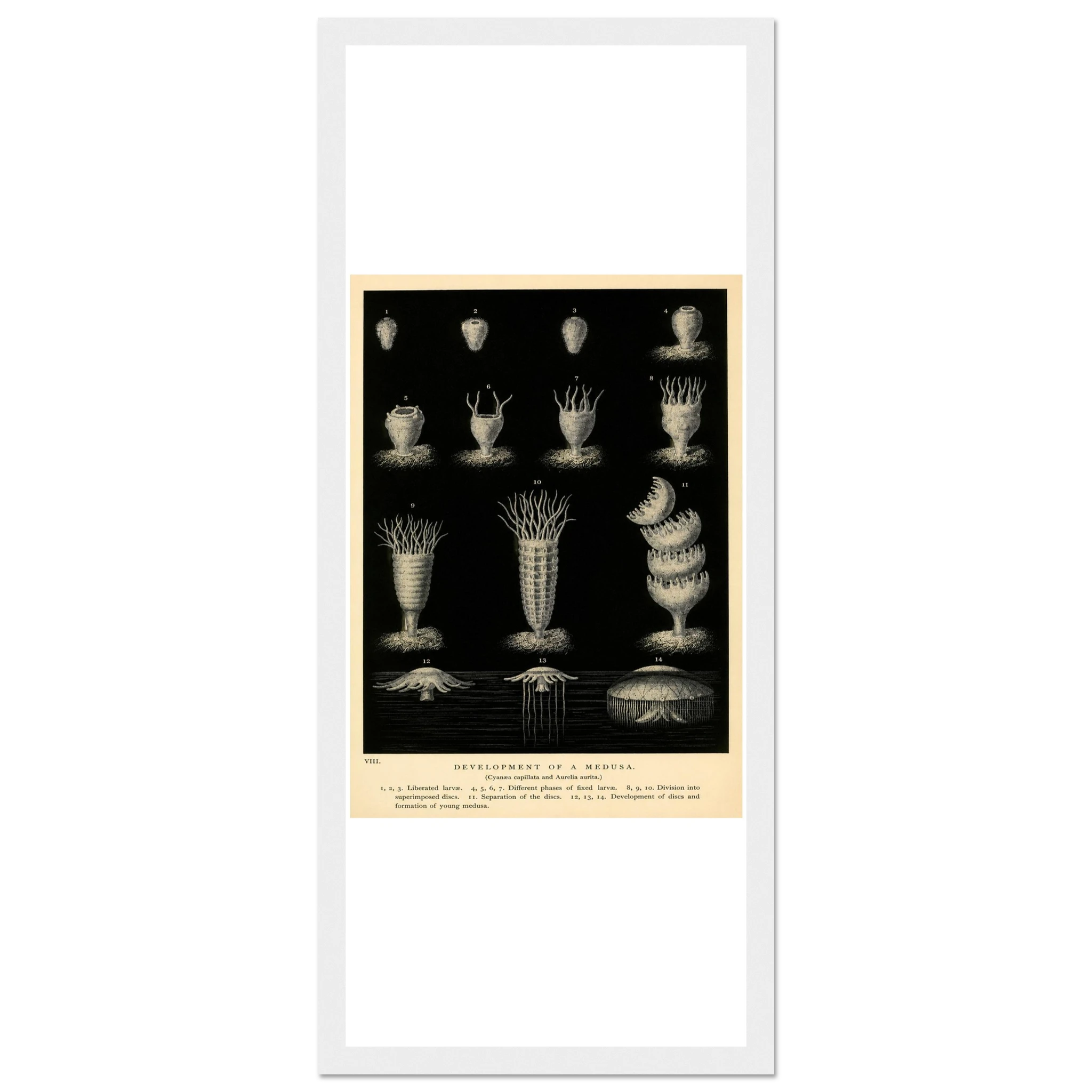 dfca70ca-6093-4204-9b97-cbb6ba0d8ec9