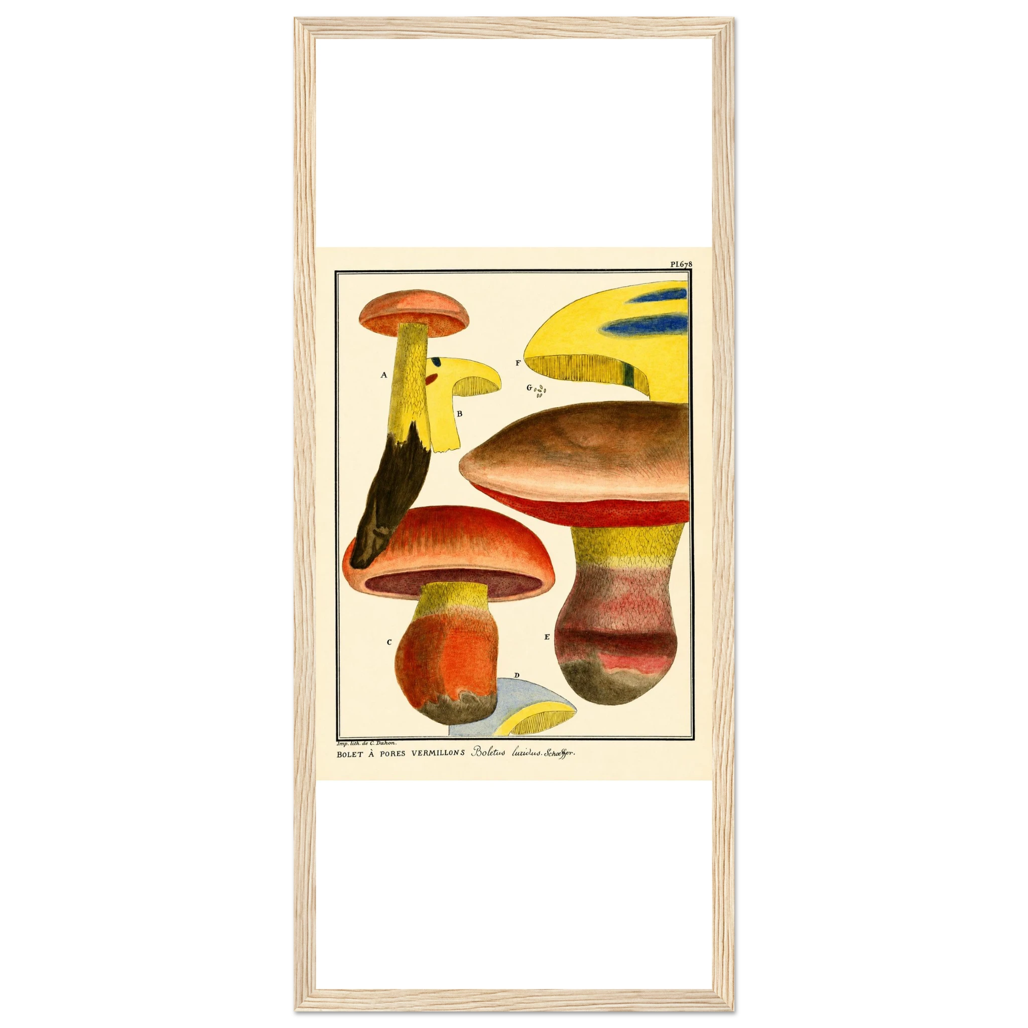 e029d696-1316-4091-baaf-590d26bfc79e
