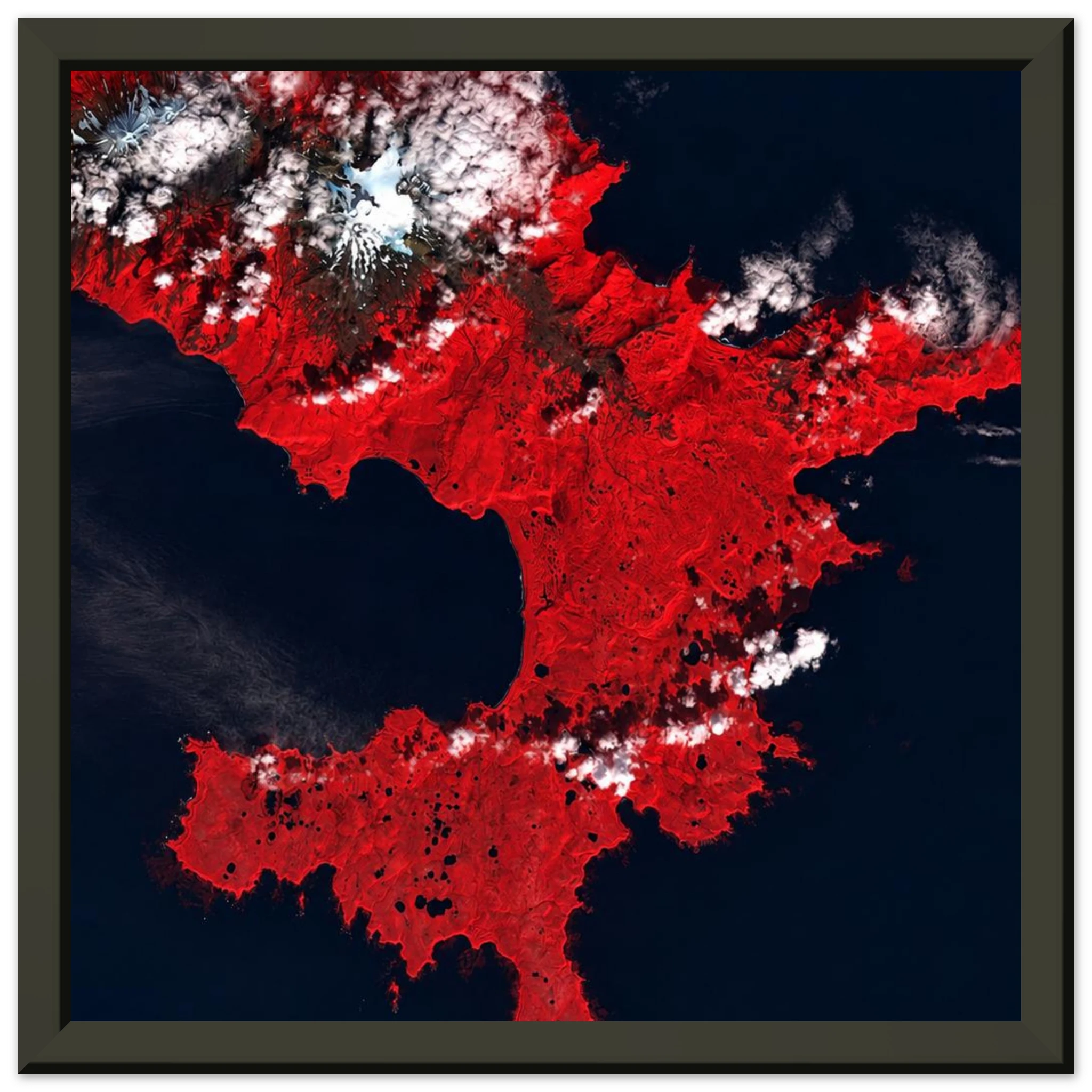 e0904b02-52c2-4225-98af-0fc4ecaf6c4b