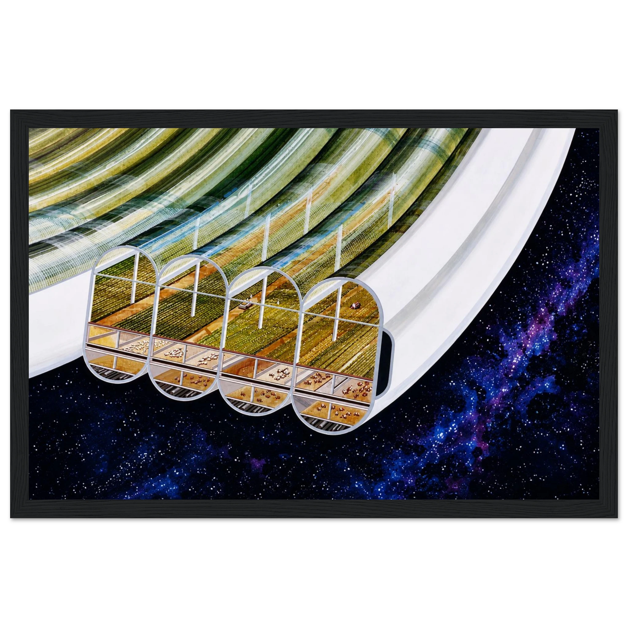e204d255-930e-4f58-95e1-cbd5c6e9626f