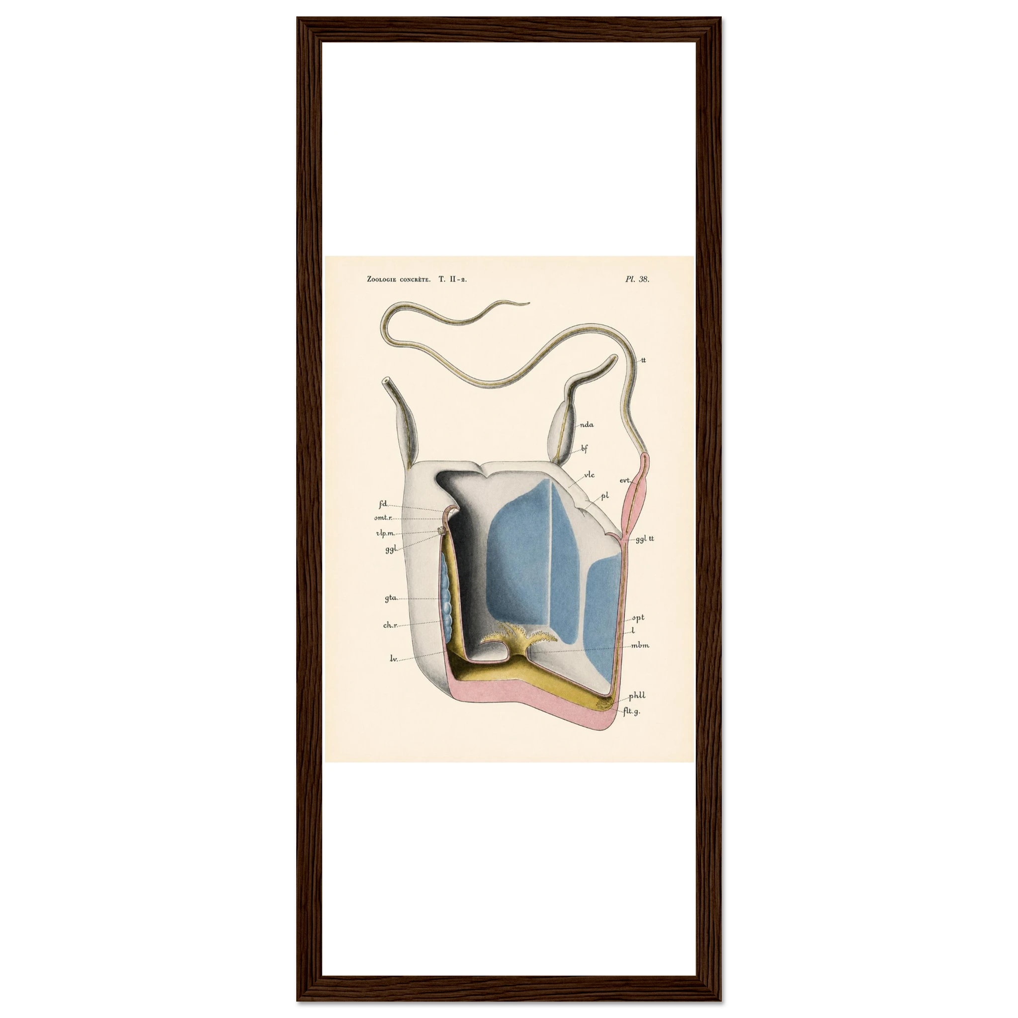 e20967a3-a0ef-4cd2-a8a4-c4e09ad26f4d