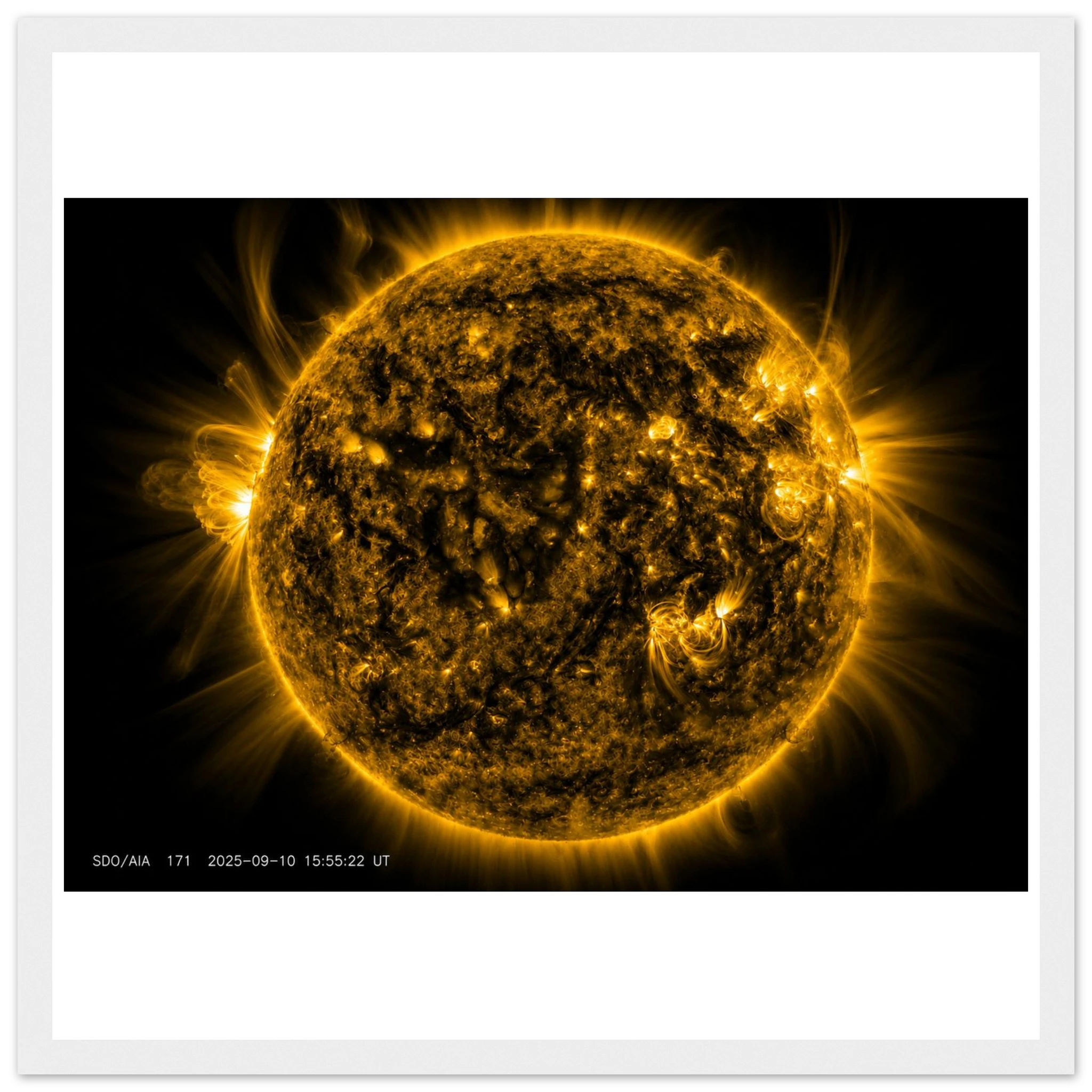 e261123e-d884-4b01-926e-57d39959eef7