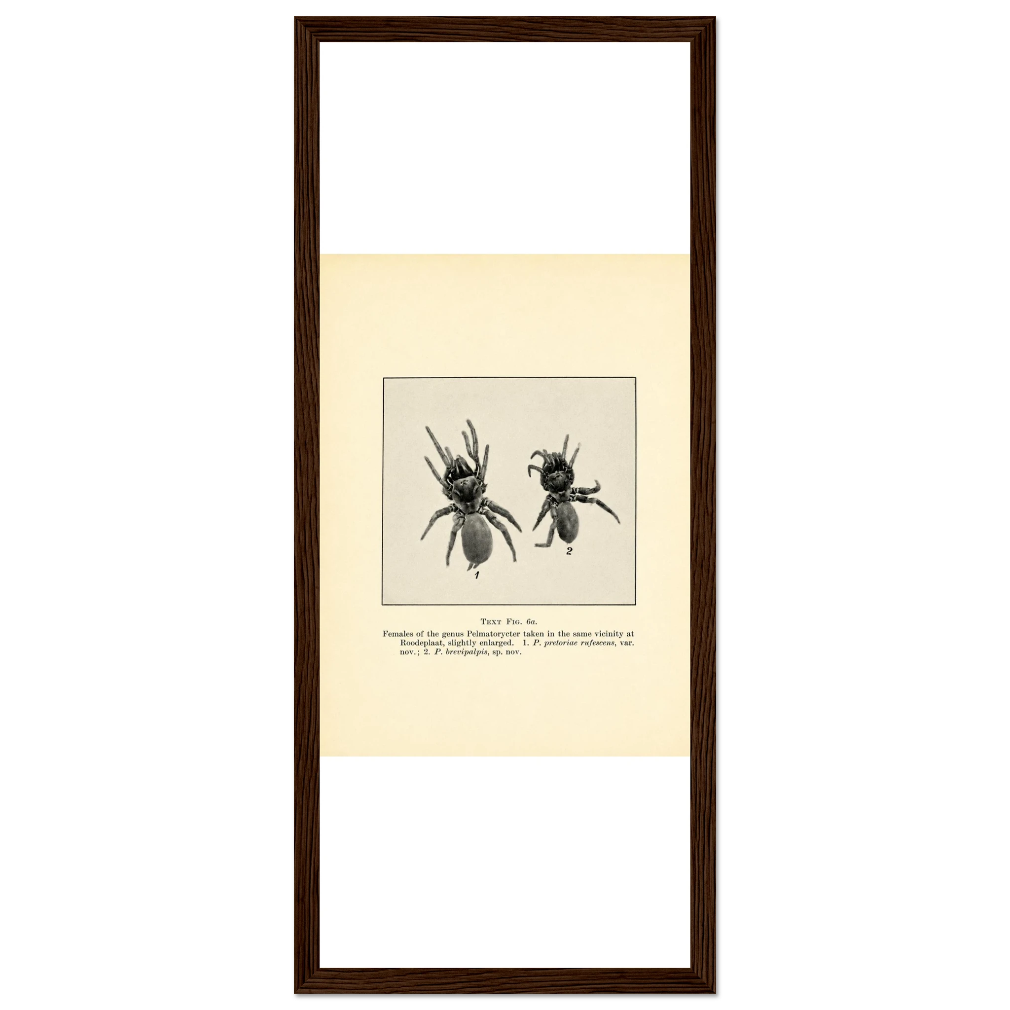 e2befc56-ecac-4e20-aefd-42507e392340