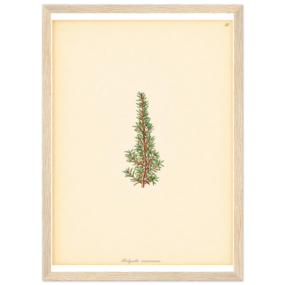 e342a161-7177-49d1-9c68-caa8c1275ed9