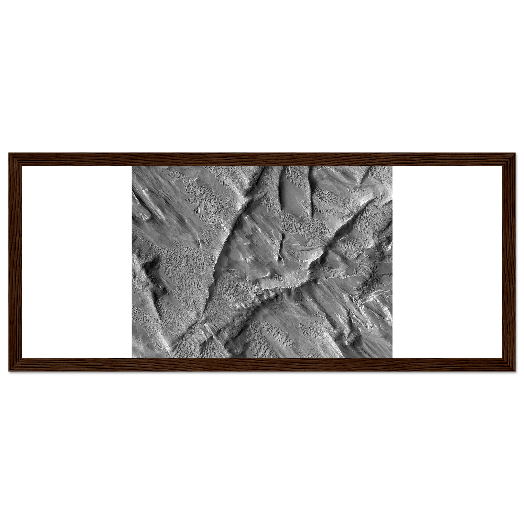 e3c366c2-e4f4-421b-bc88-555599b2963e