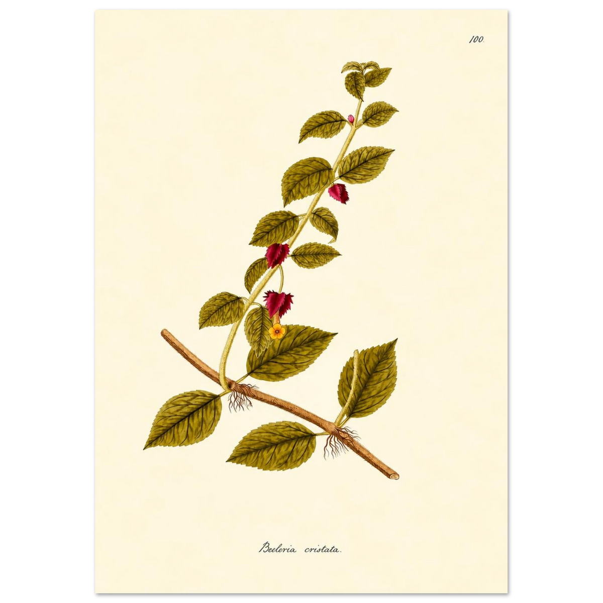 e409f2b3-d7ad-451c-b136-4d63cec11aaf