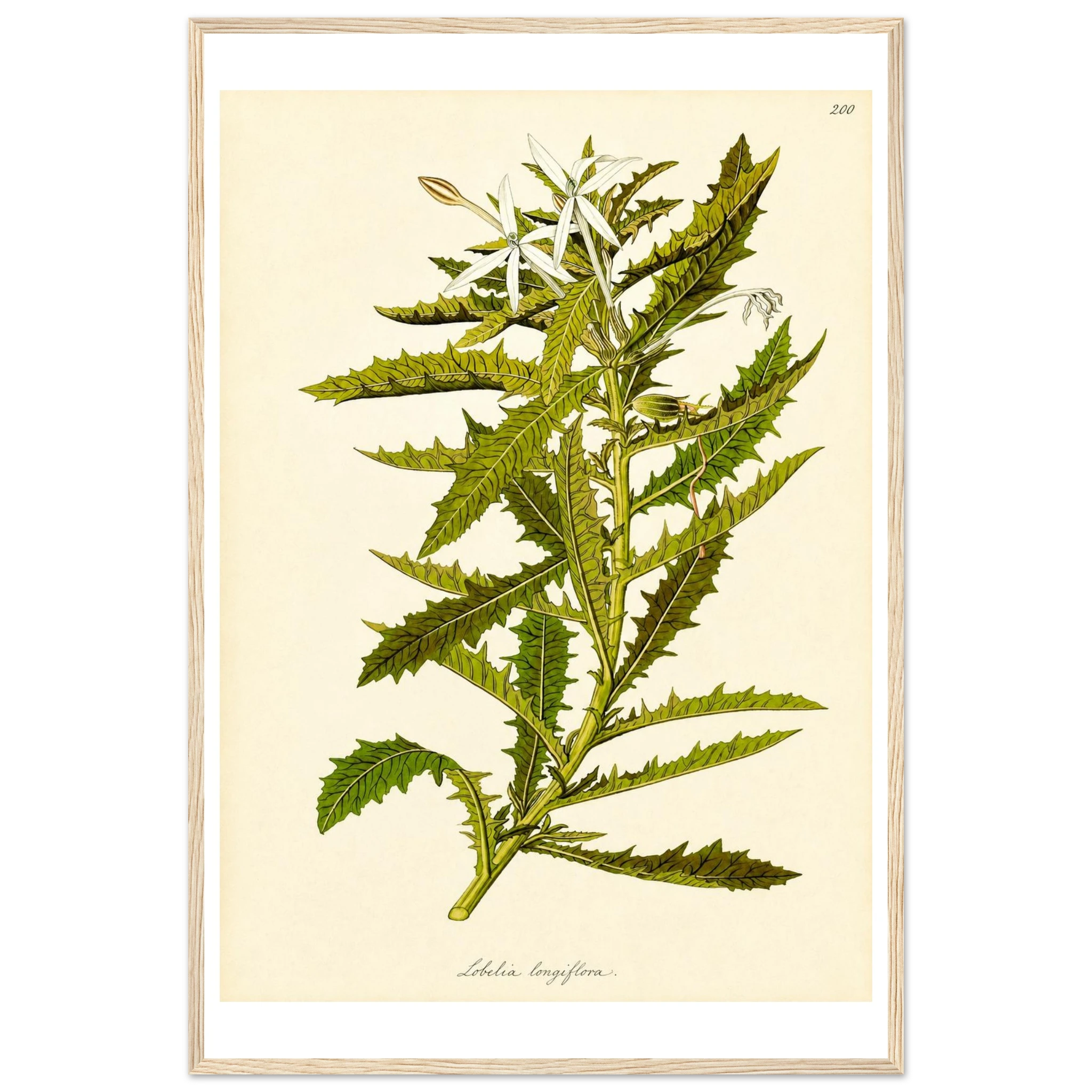 e40a9232-36bc-49ed-9a01-bee45ce23eef