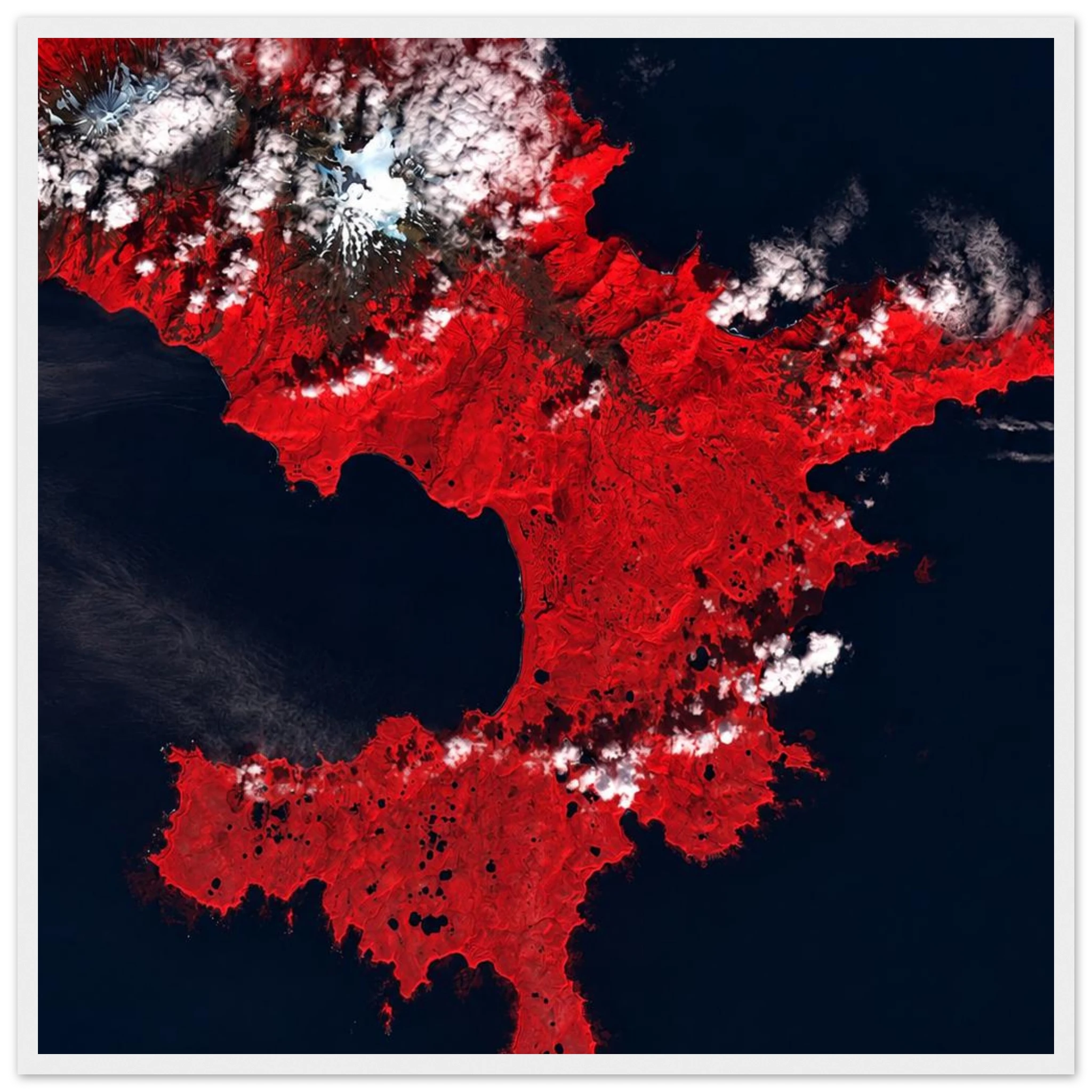 e437ba24-756a-4301-b775-47569132434a