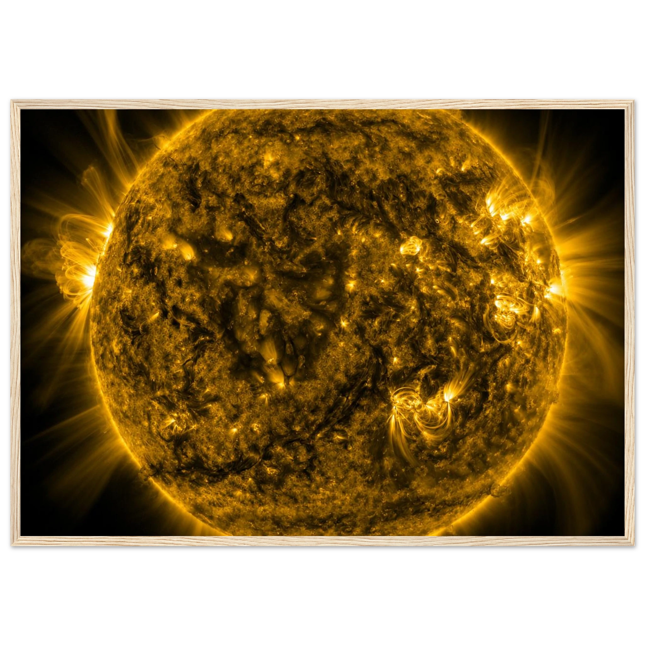 e48646fa-39a5-46a7-86eb-4416ec6d460b