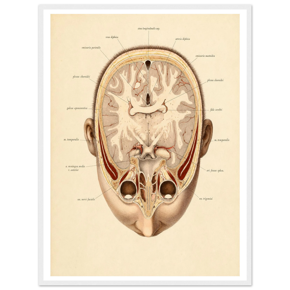 e48b1c5c-ece2-42ac-bd4e-880c930d38f4