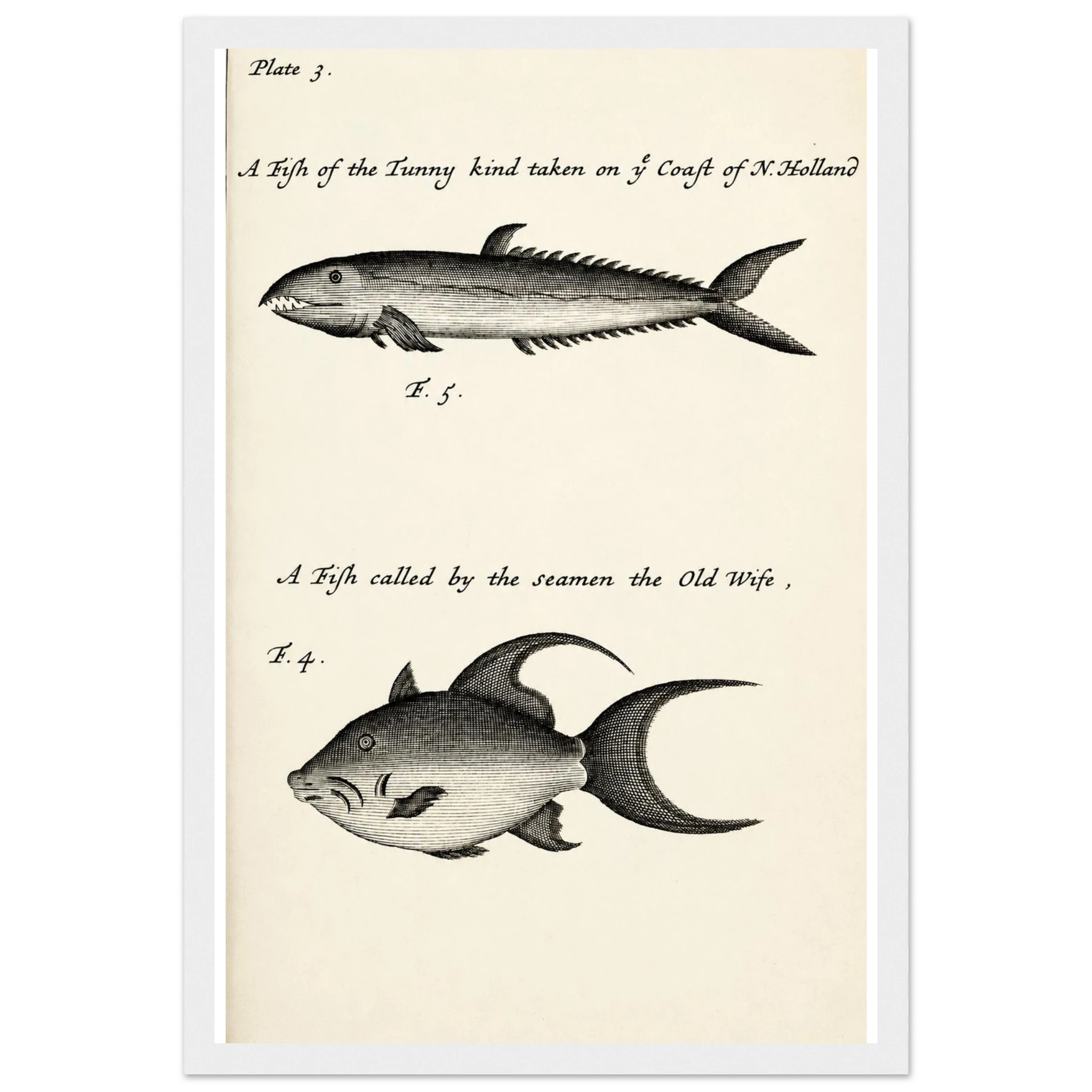 e49ef0d2-5218-4b32-be63-aa9ac0f41bbd