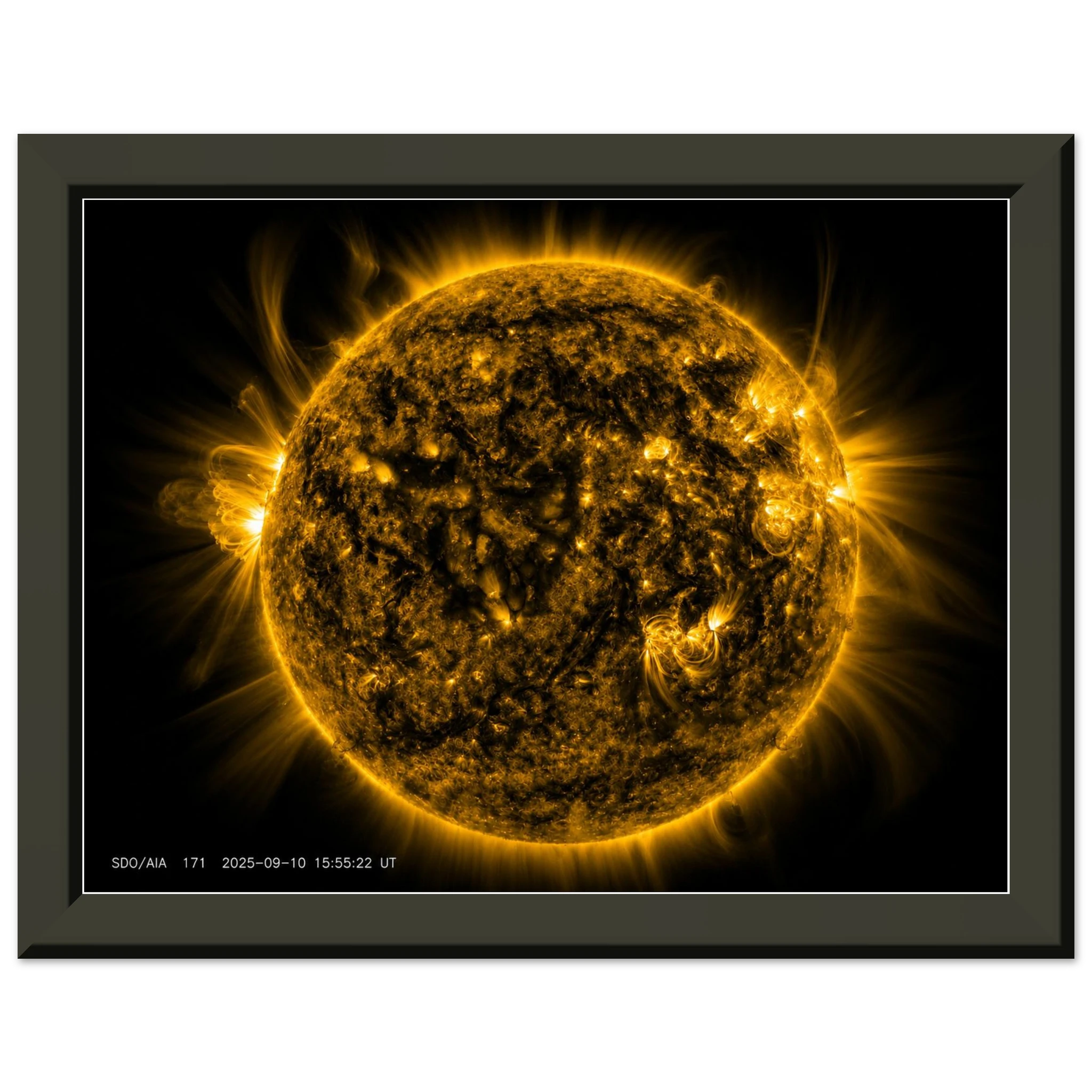 e4b02b9f-a88e-4ad2-afaa-42fb2107dc4c