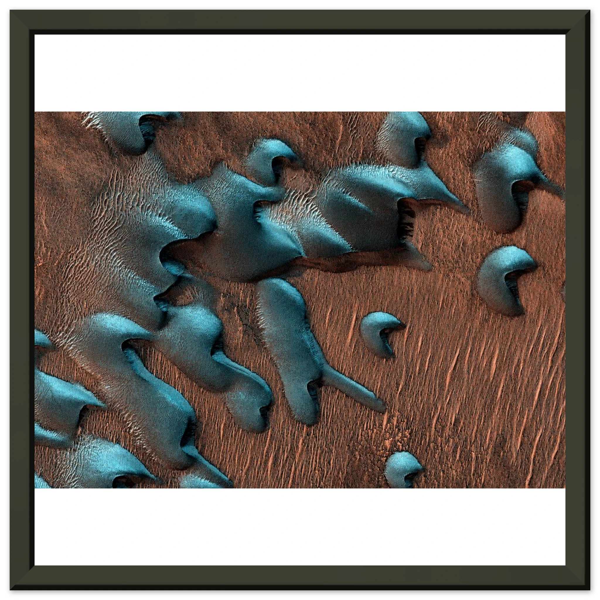 e4f21050-ccbb-42d7-8051-a9fff62a01df